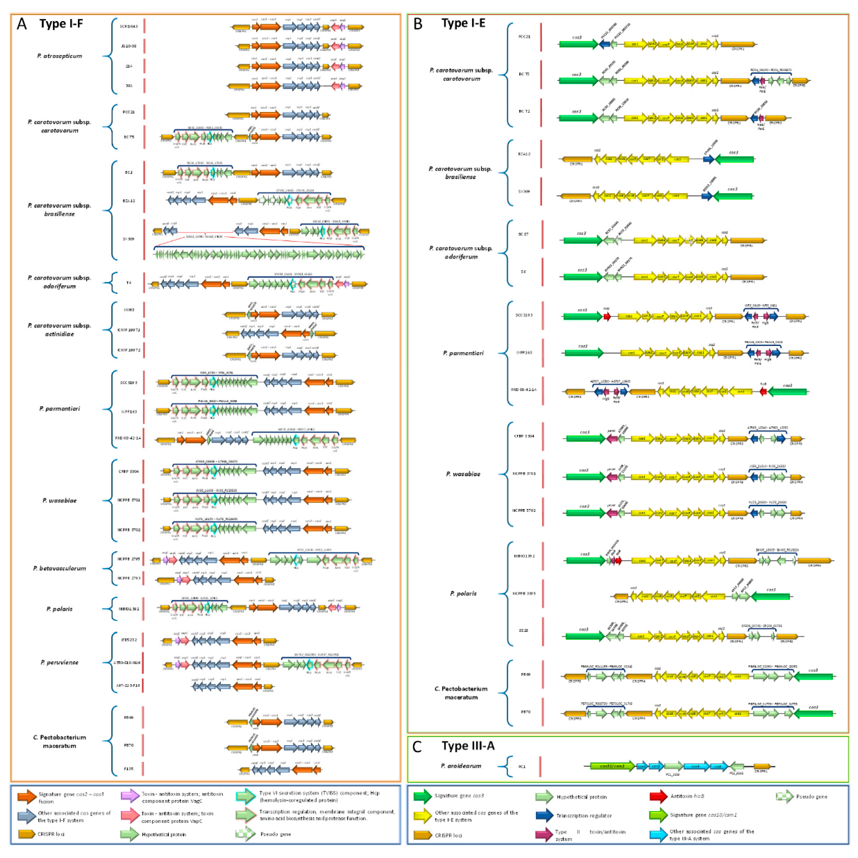 Pathogens 08 00247 g010