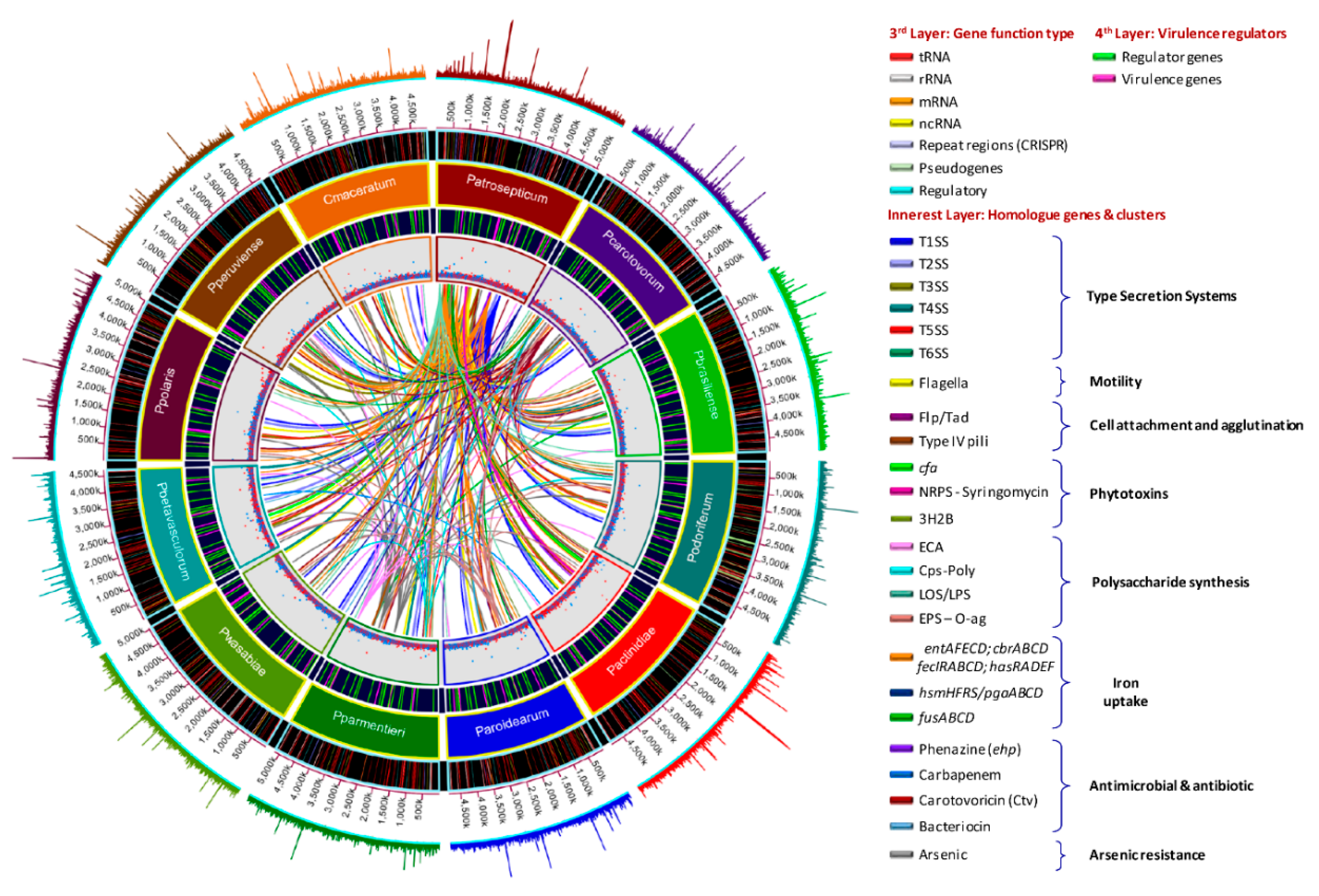Pathogens 08 00247 g011