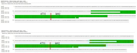 Pathogens 08 00249 g0a4