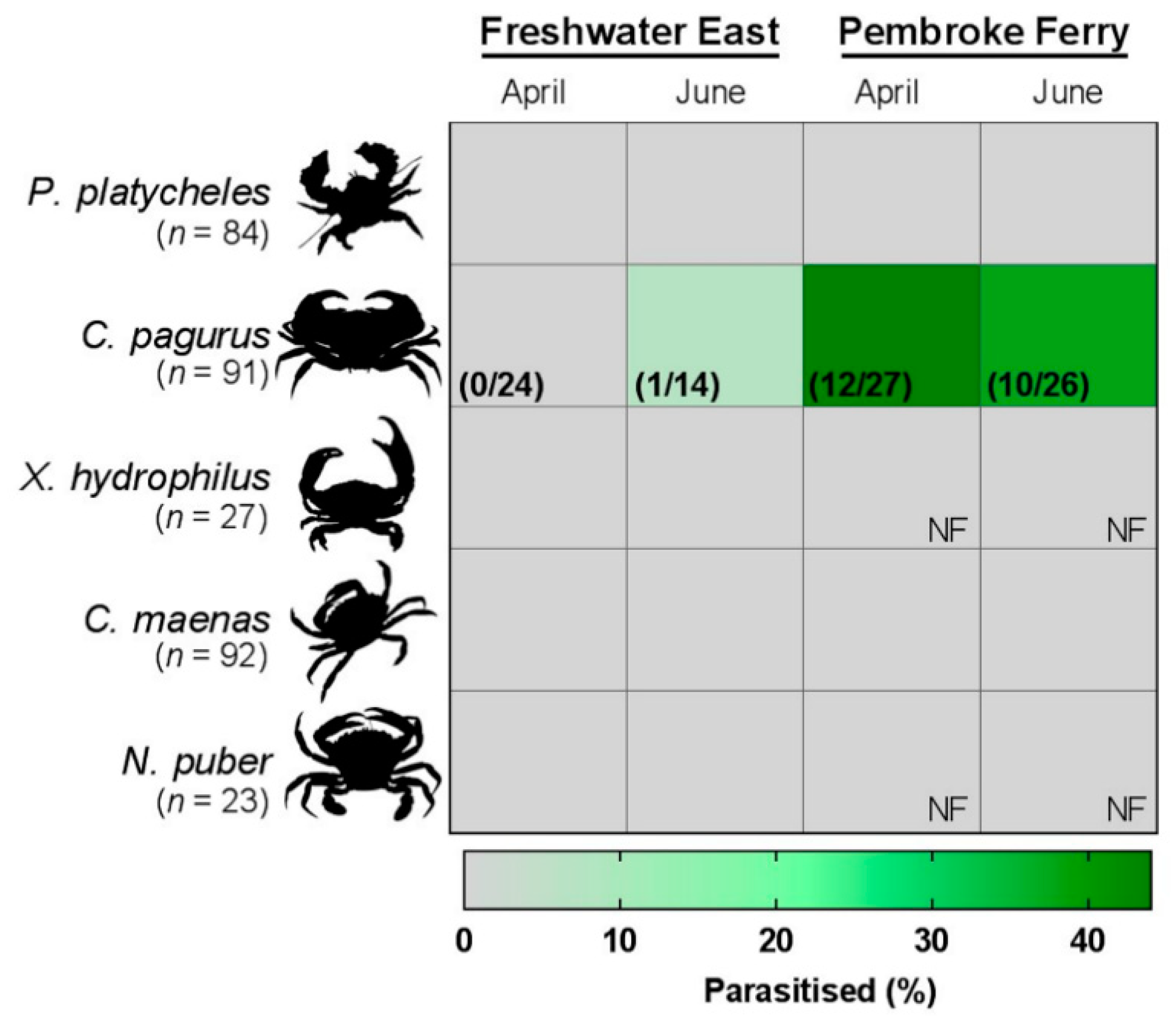 Pathogens 08 00252 g001