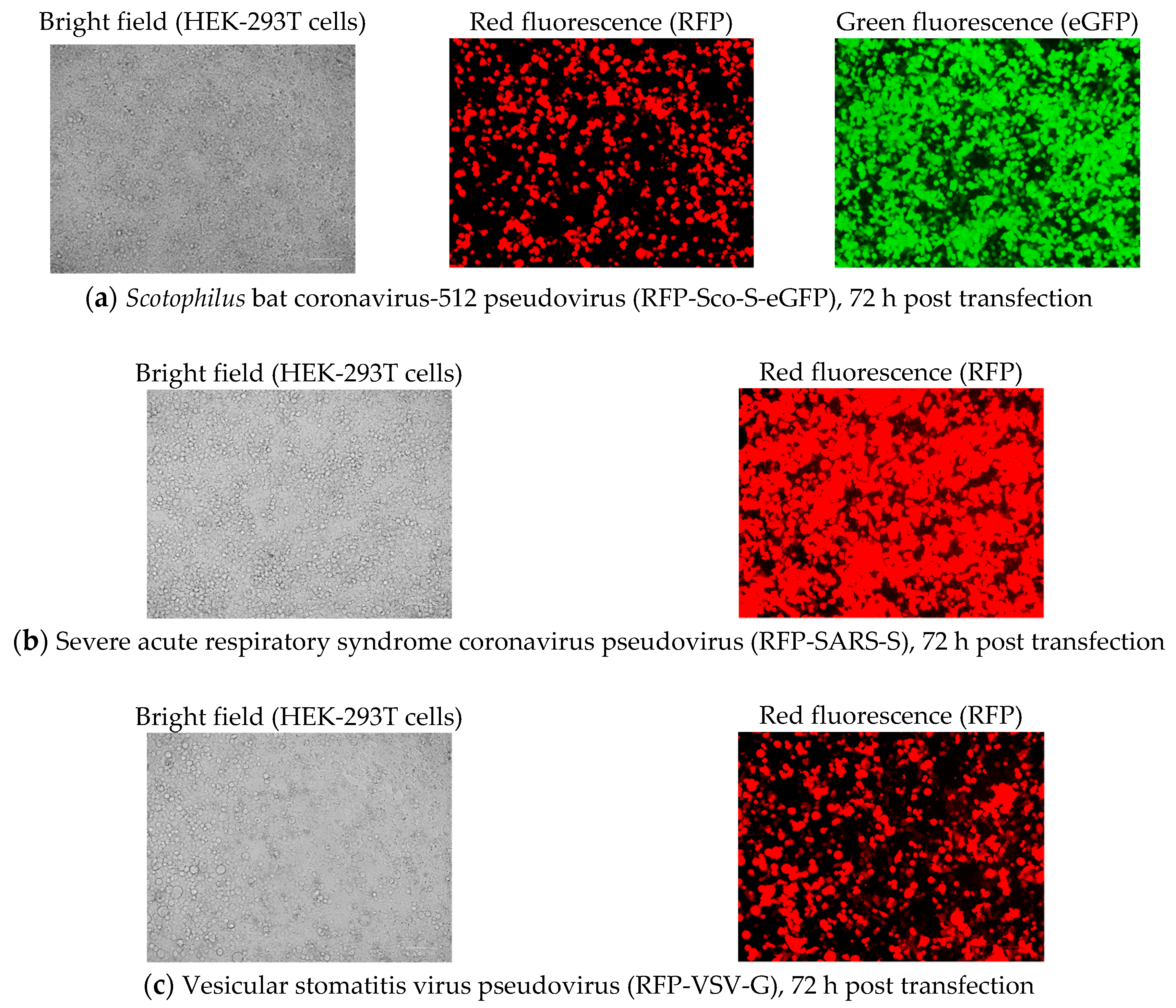 Pathogens 08 00259 g001