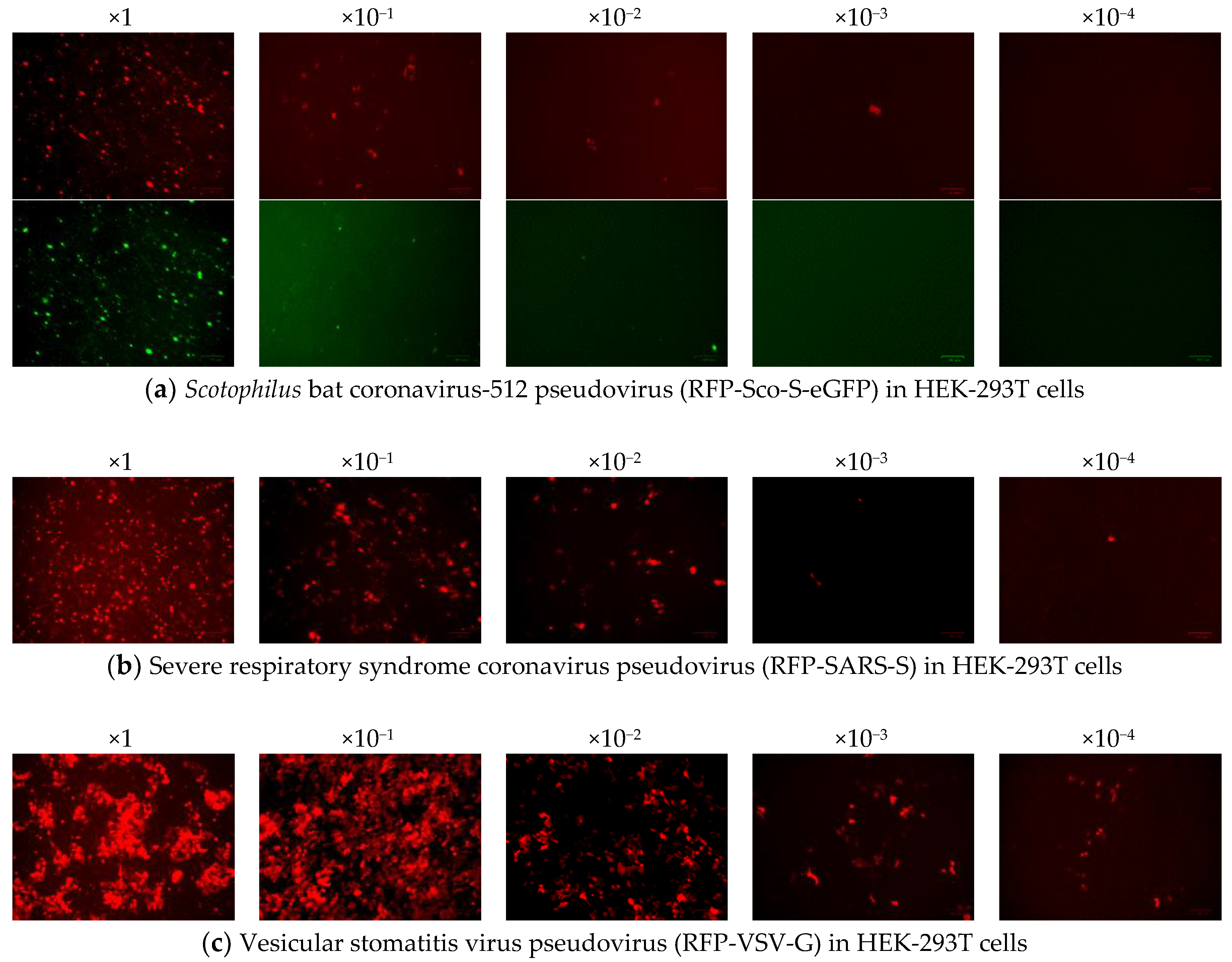 Pathogens 08 00259 g002