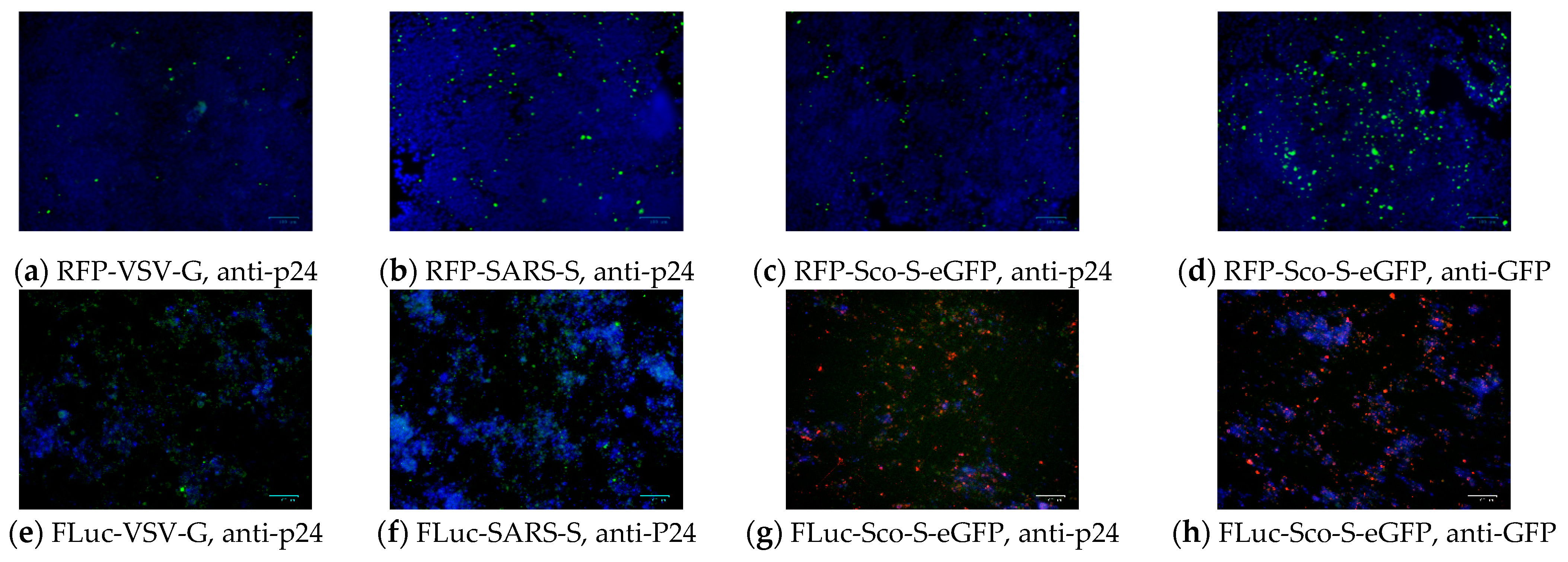 Pathogens 08 00259 g003