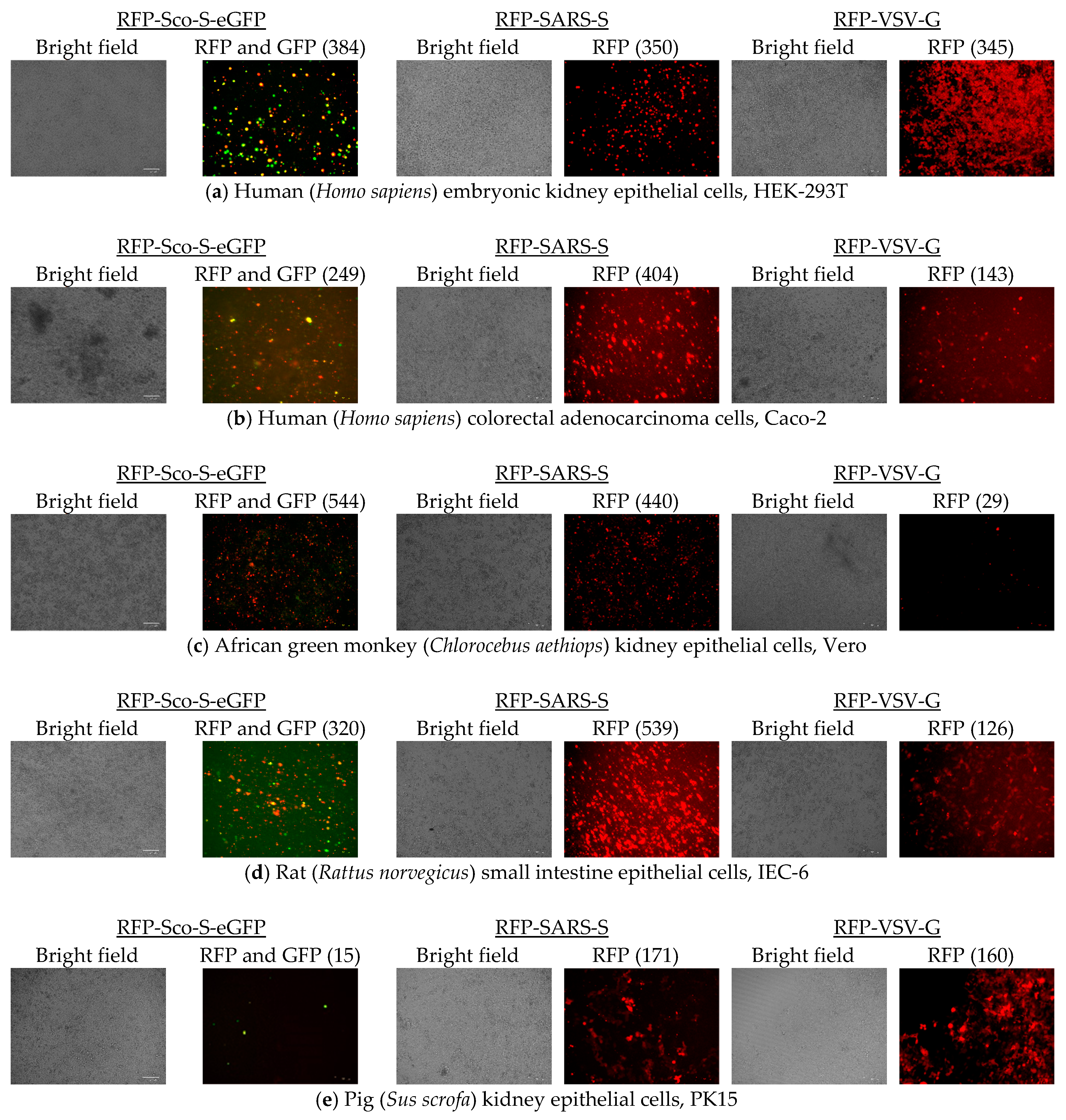 Pathogens 08 00259 g005a