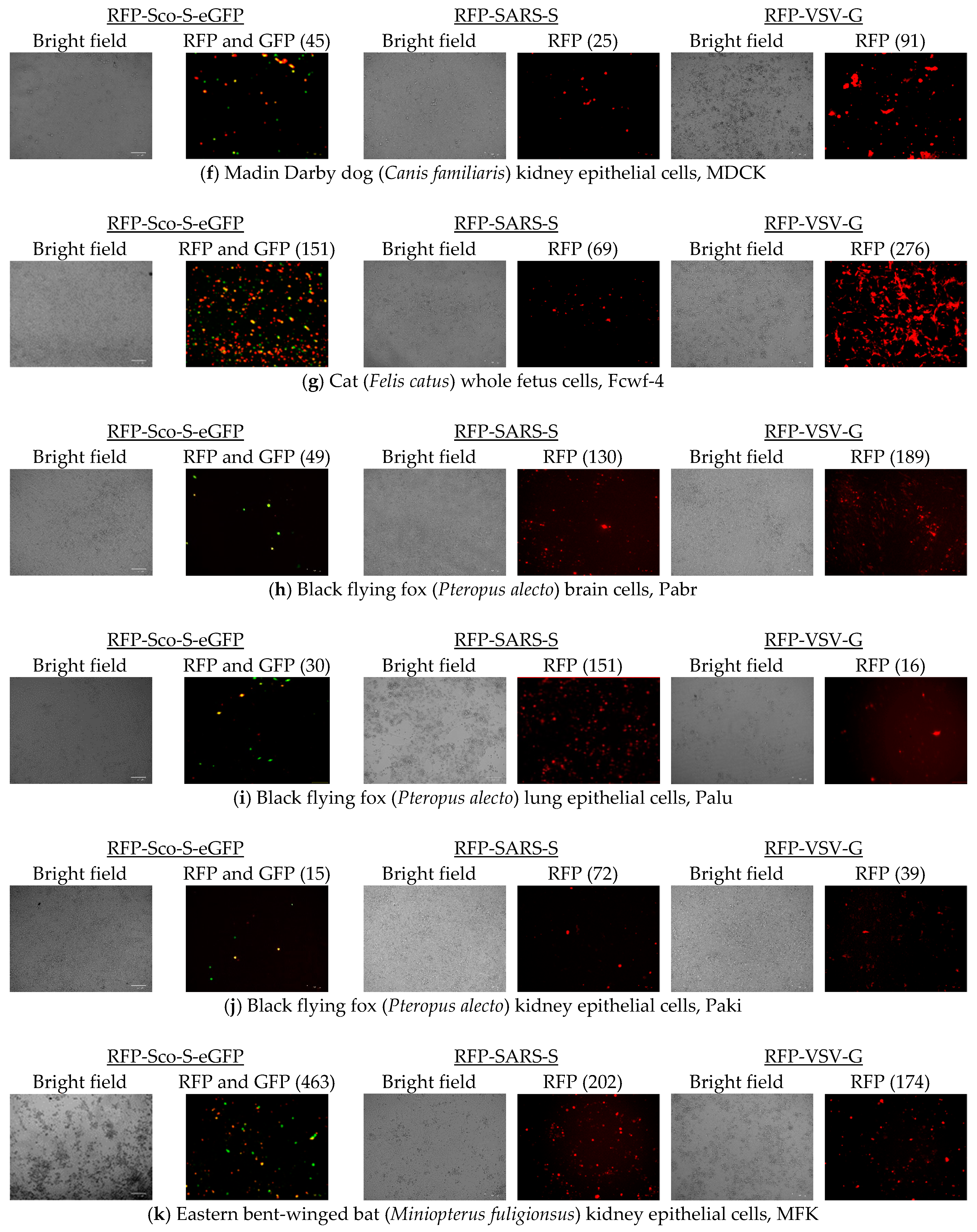 Pathogens 08 00259 g005b
