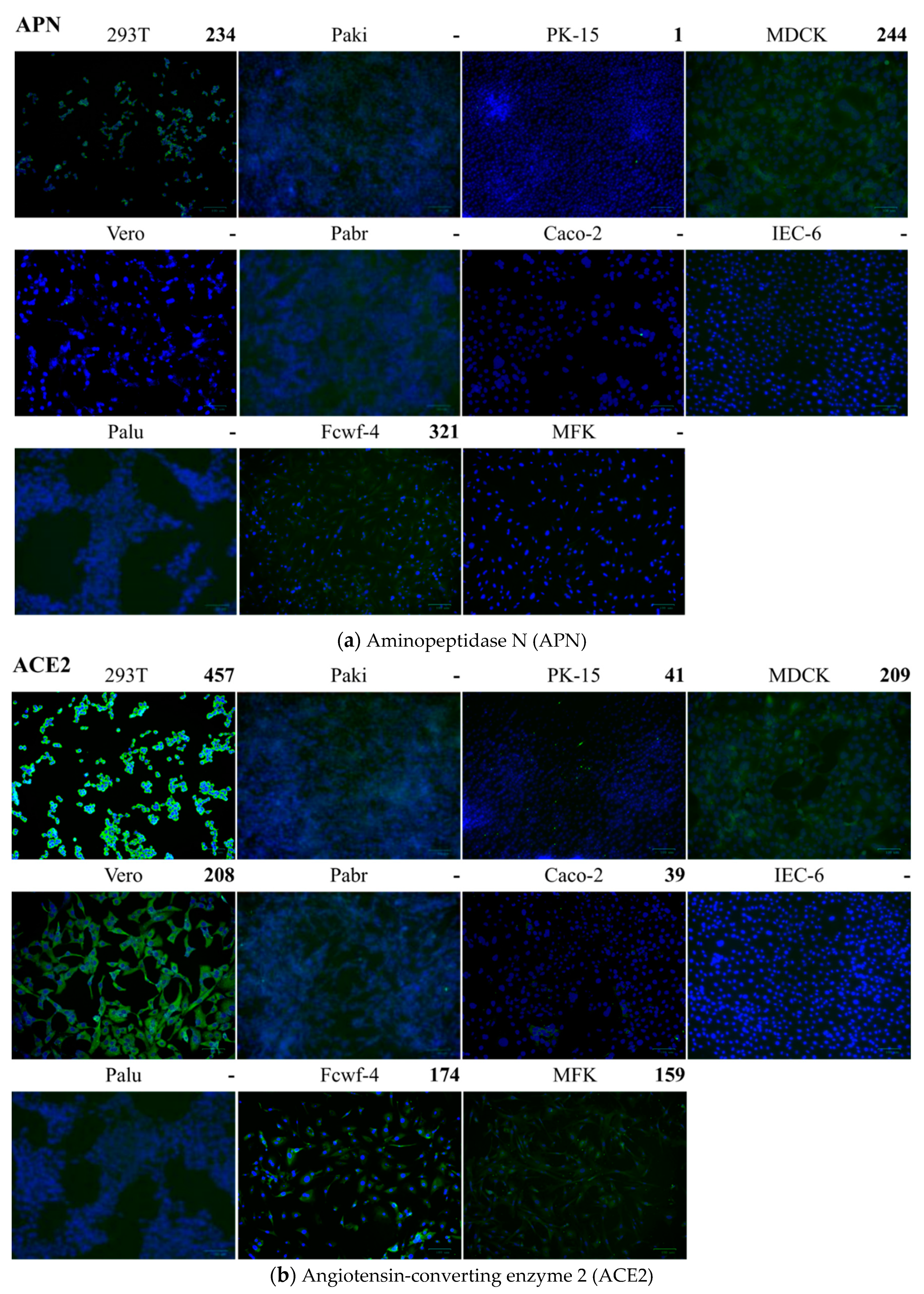 Pathogens 08 00259 g007a