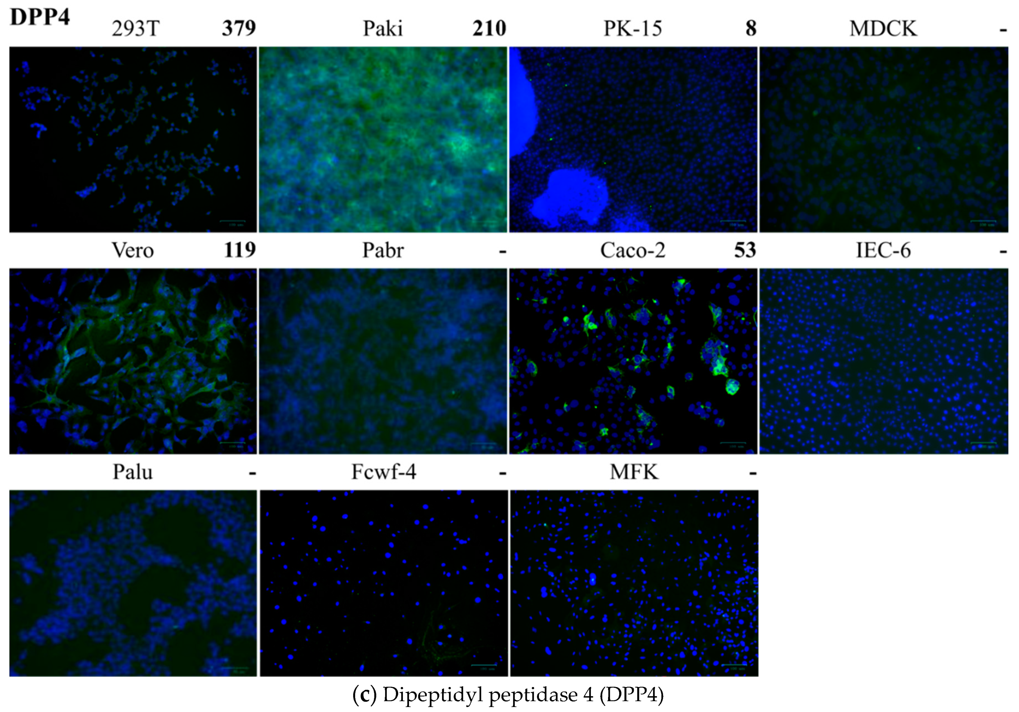 Pathogens 08 00259 g007b