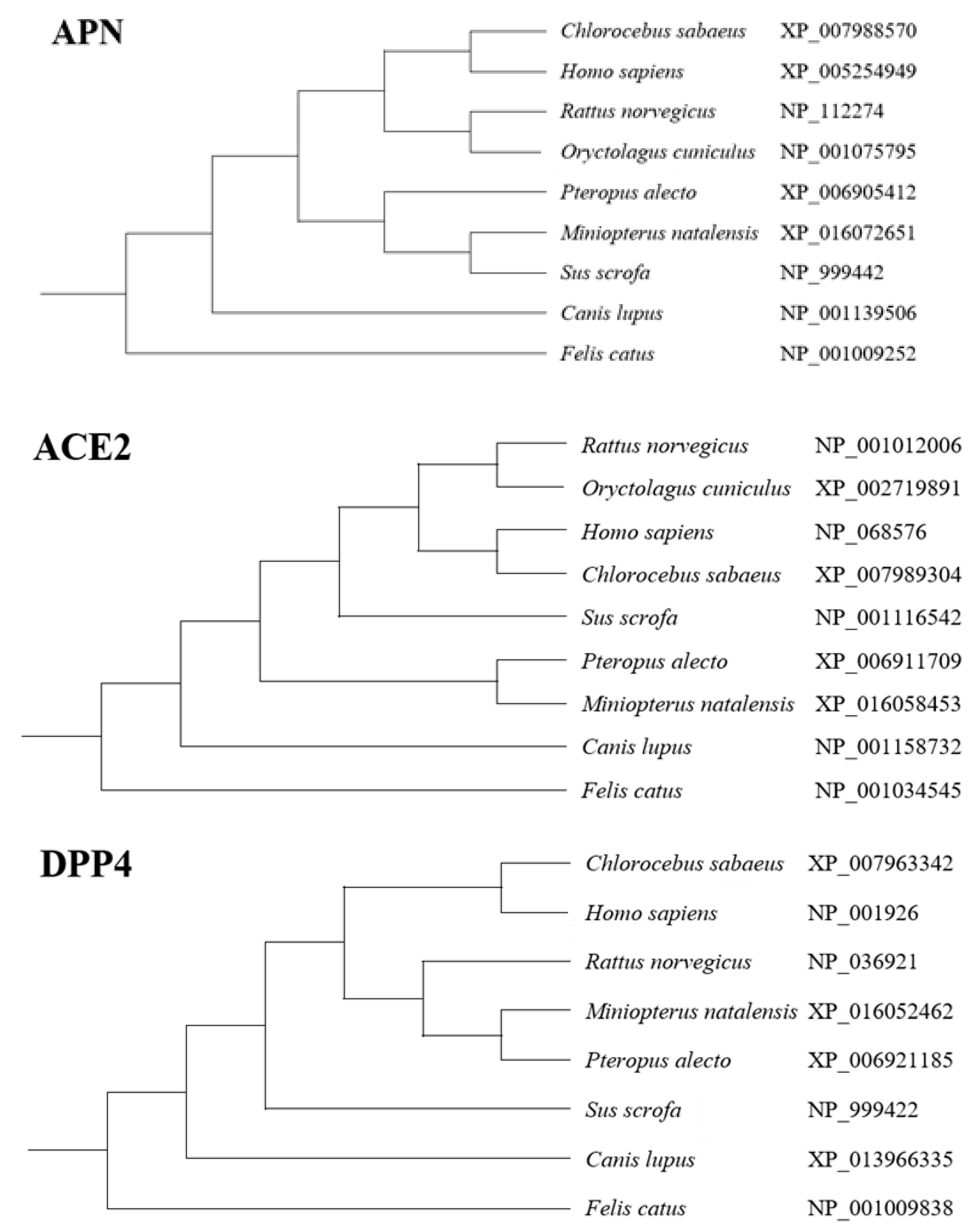 Pathogens 08 00259 g008
