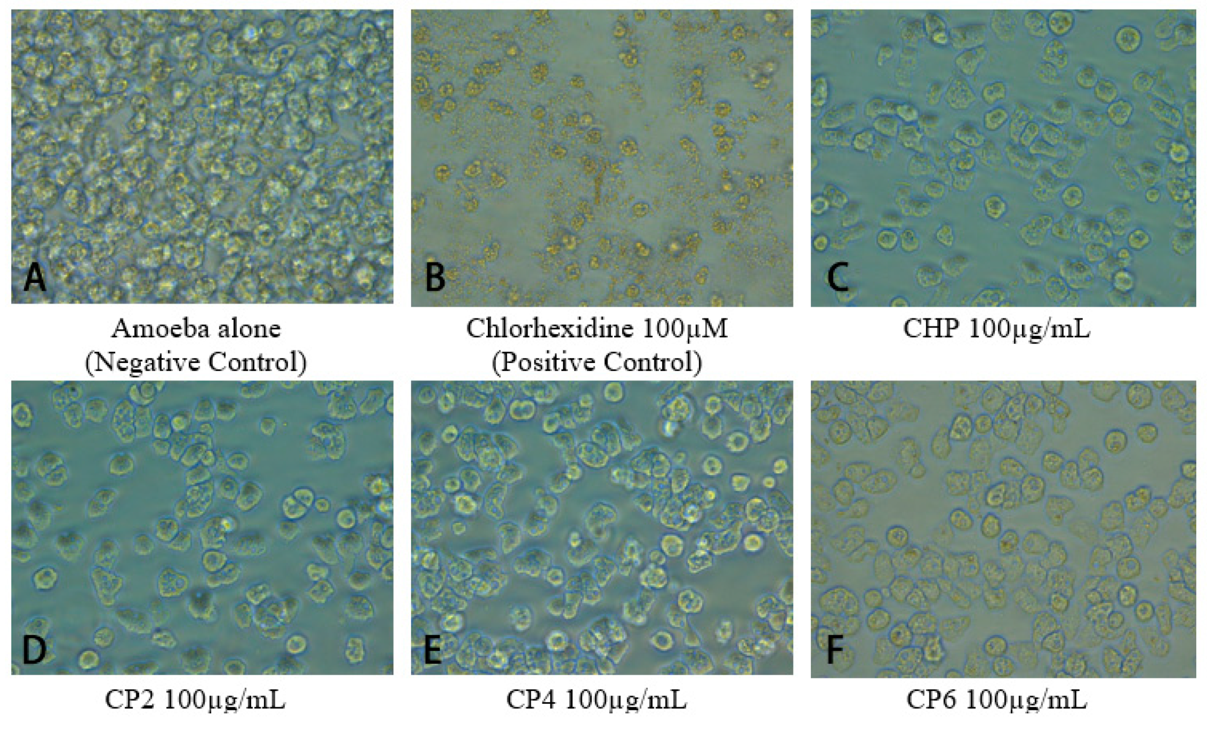 Pathogens 08 00260 g006 Pathogens 08 00260 g006