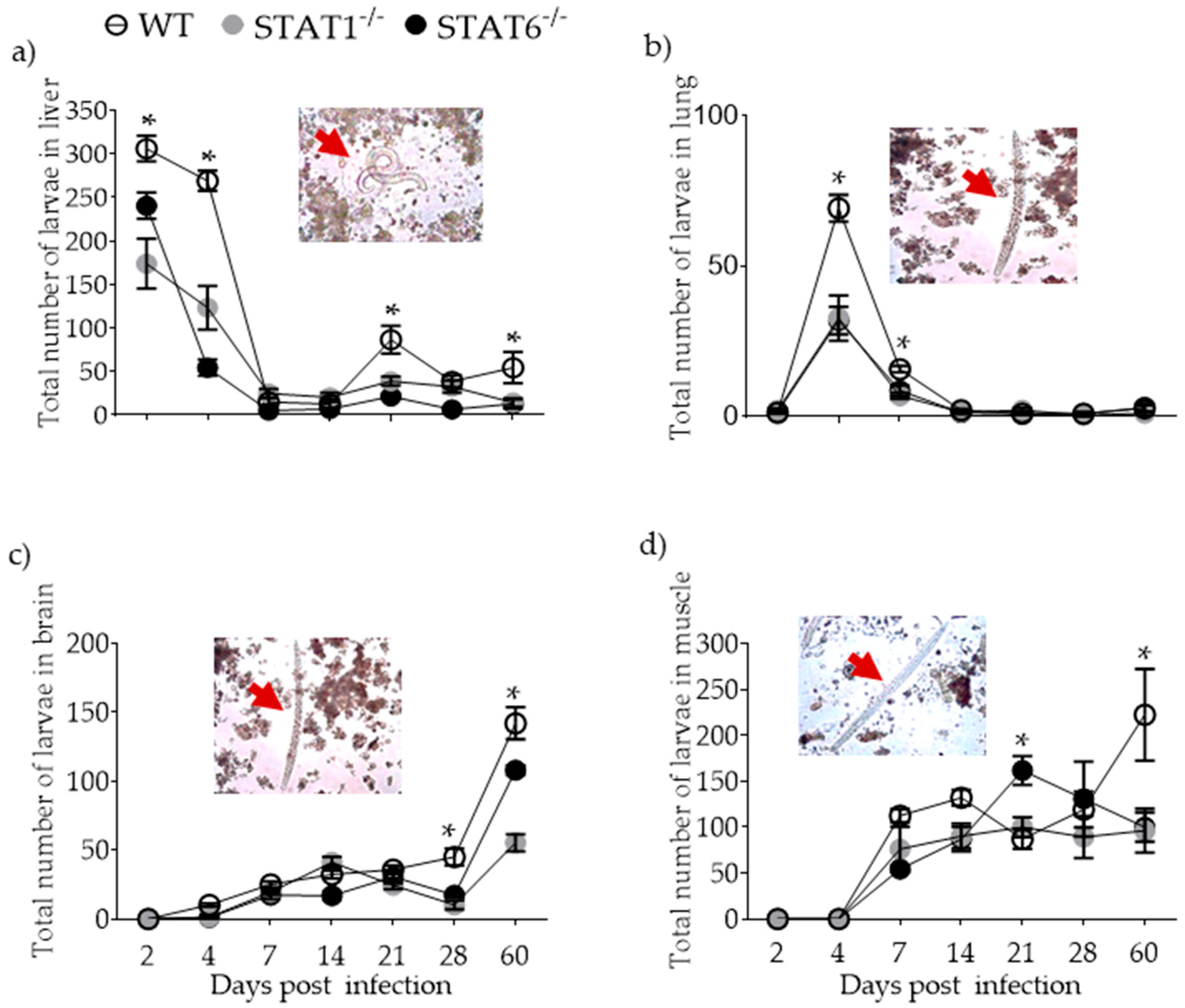 Pathogens 08 00280 g001