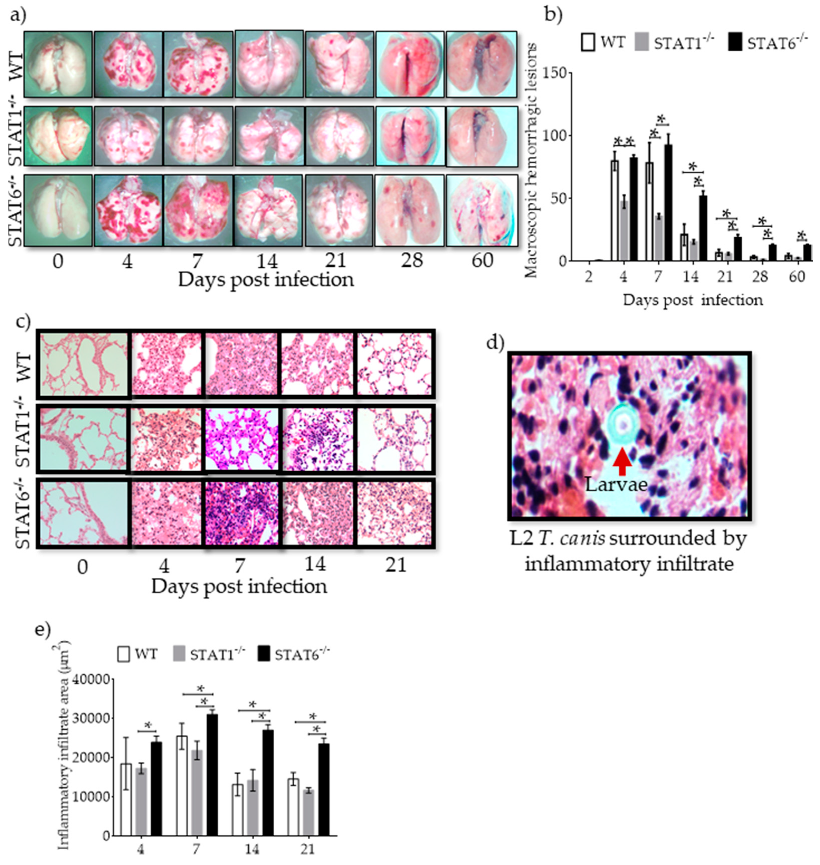 Pathogens 08 00280 g002