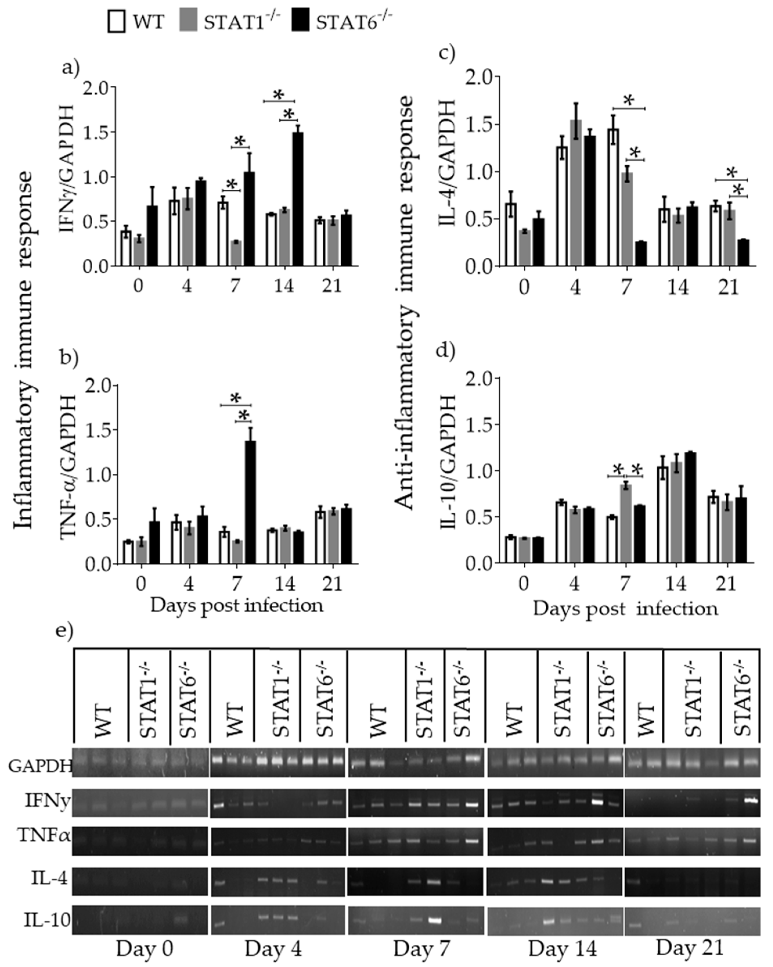 Pathogens 08 00280 g004