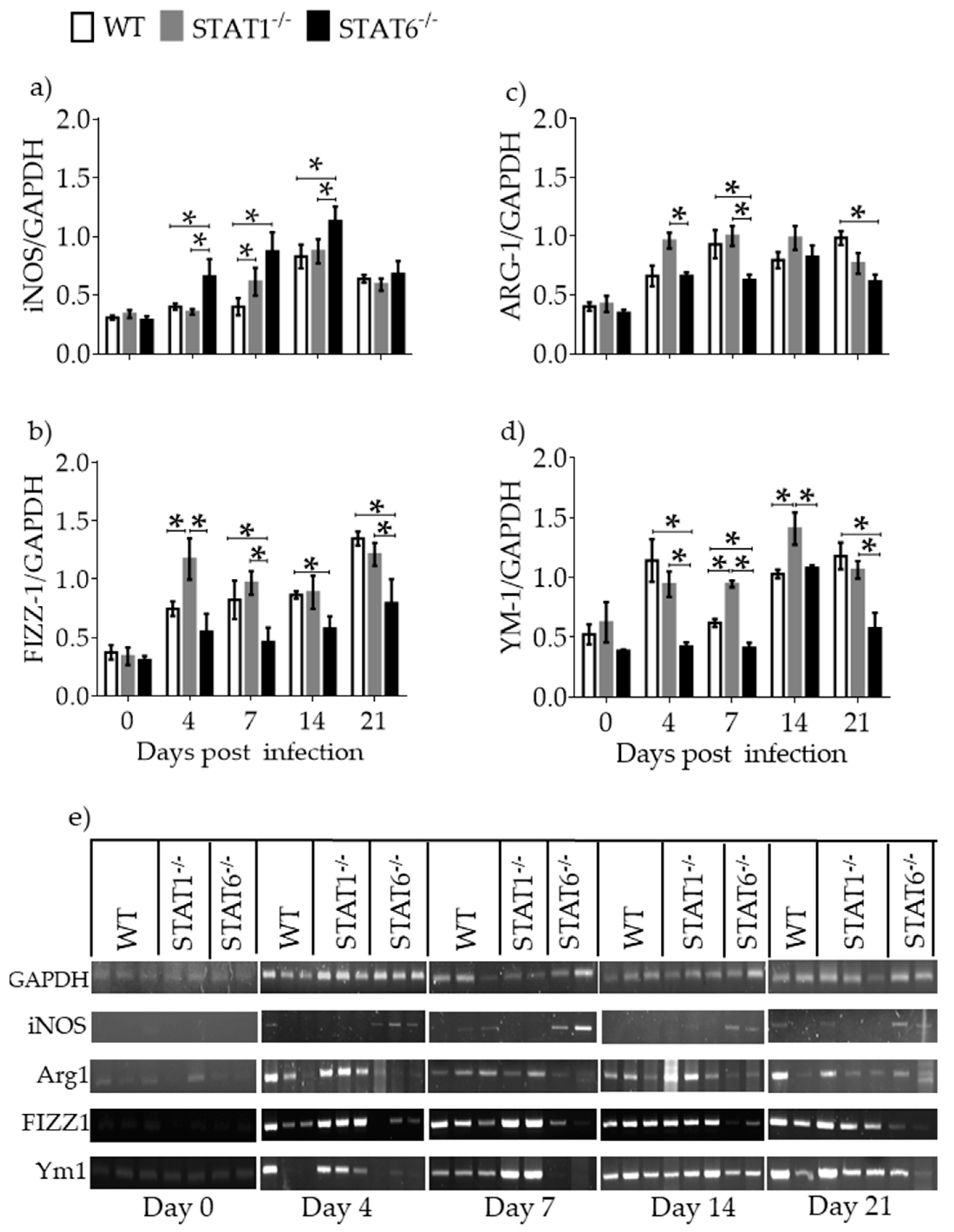 Pathogens 08 00280 g005