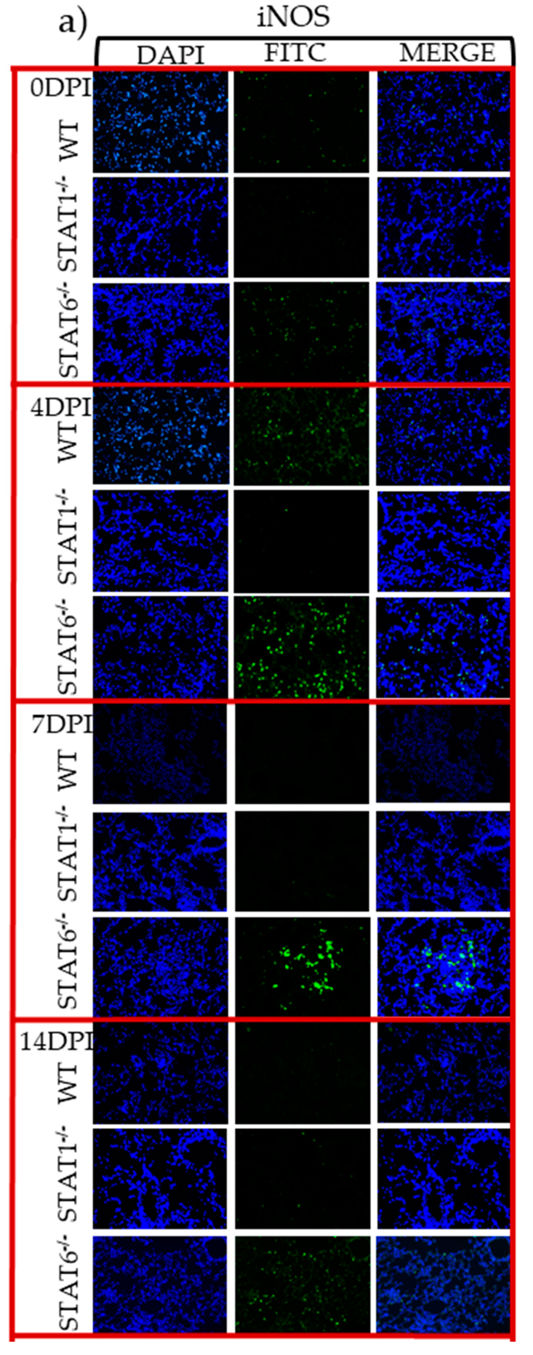 Pathogens 08 00280 g006a