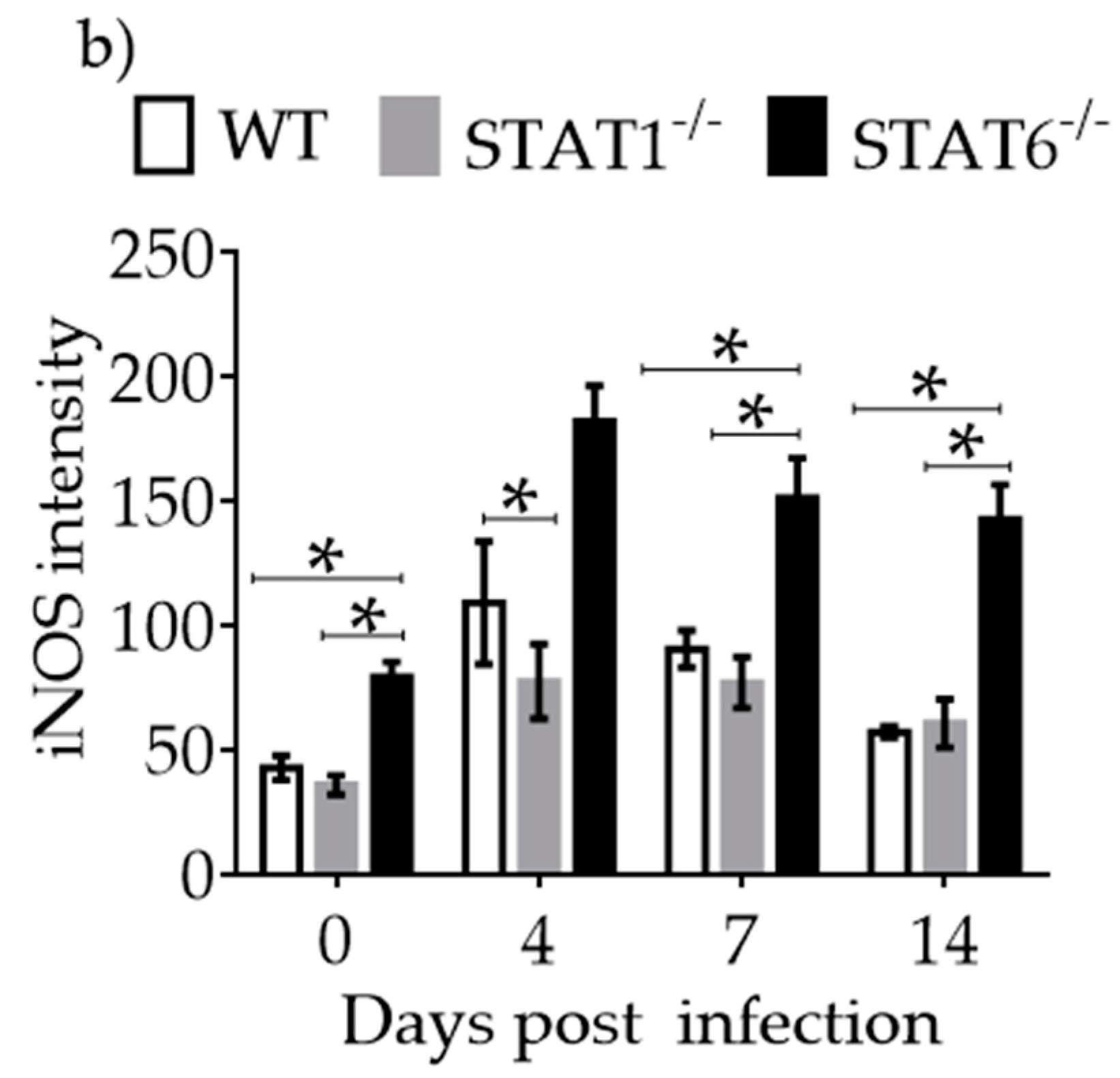 Pathogens 08 00280 g006b
