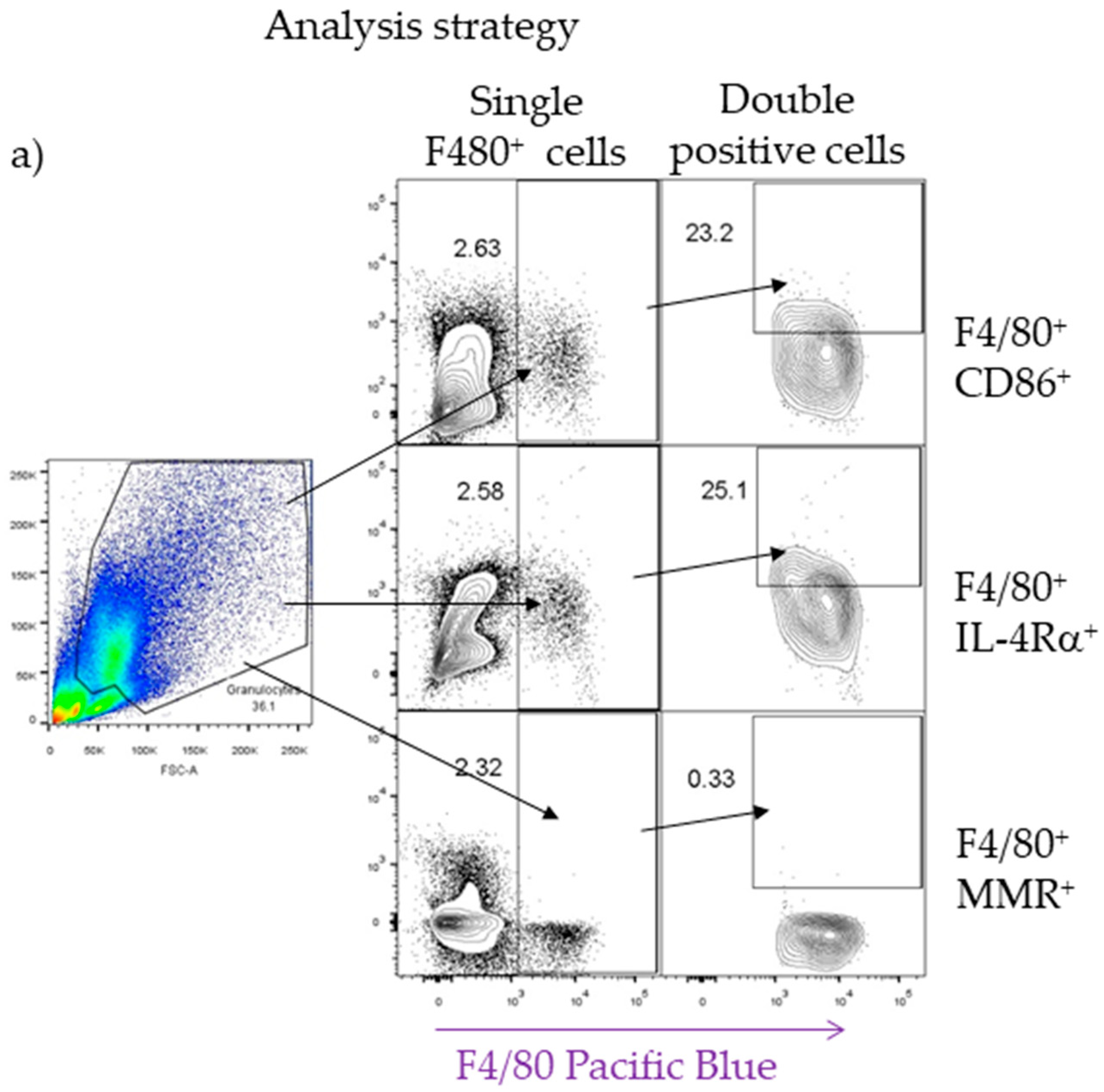 Pathogens 08 00280 g008a