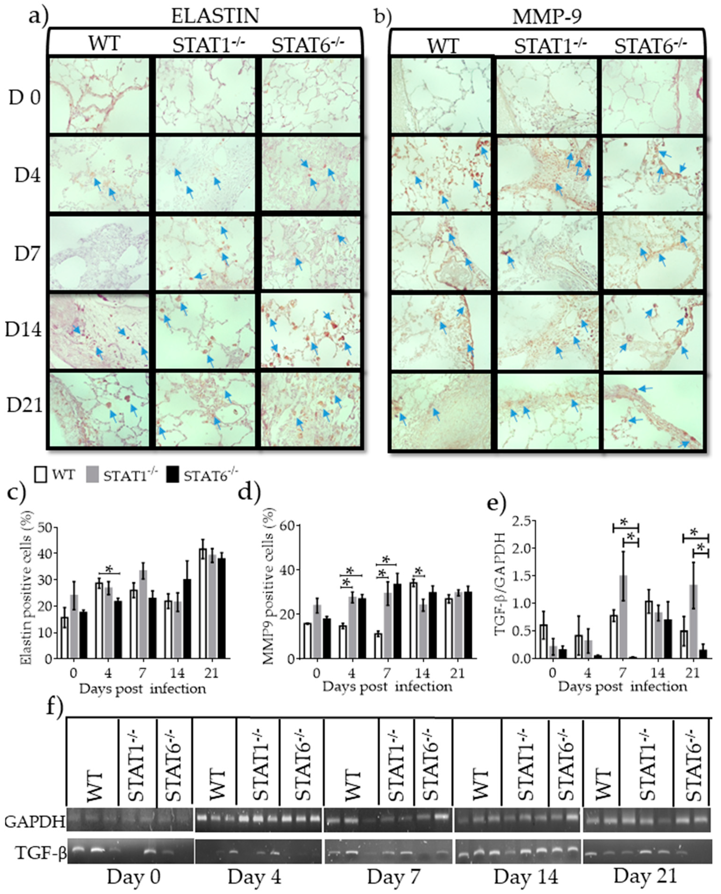 Pathogens 08 00280 g009