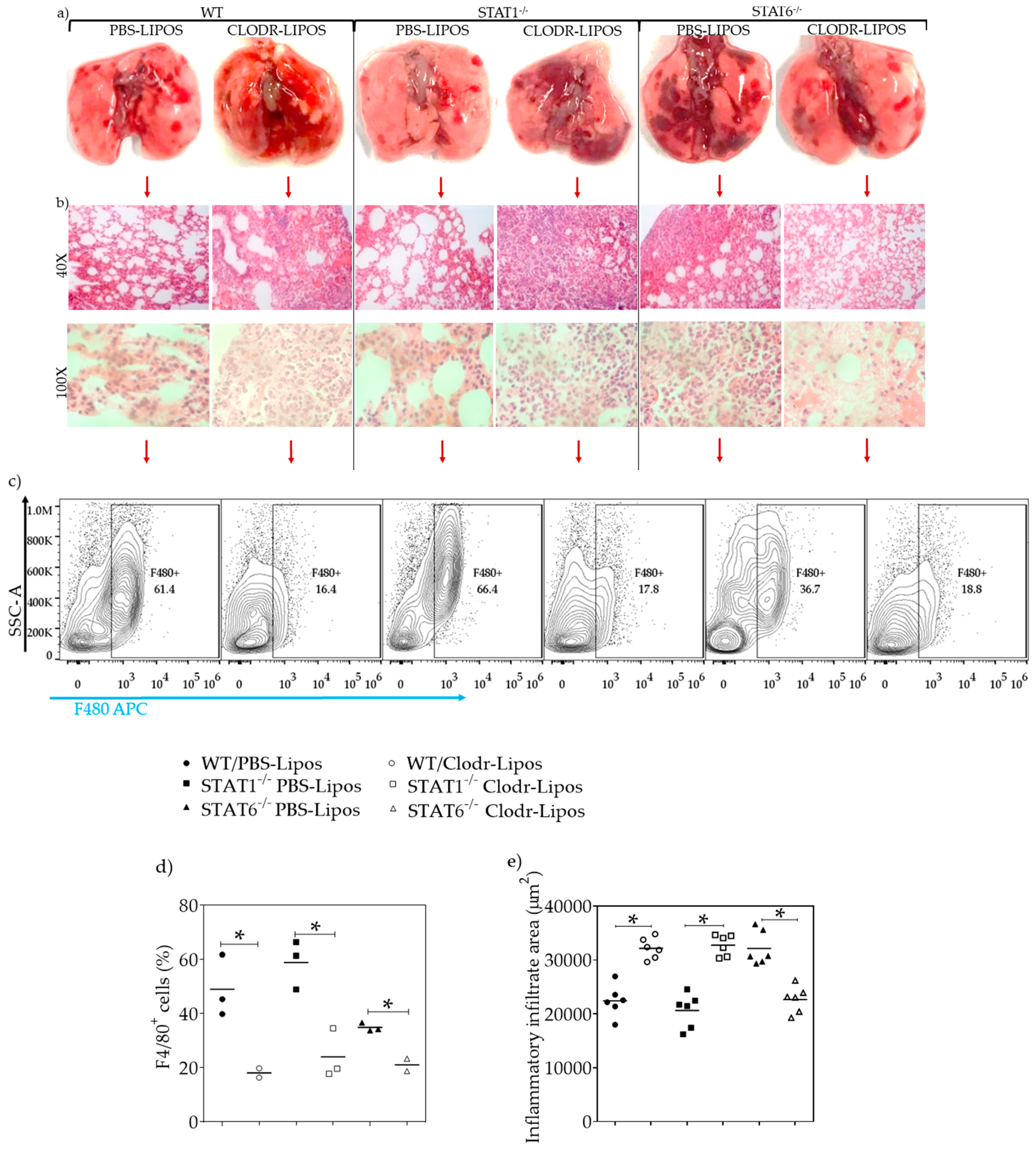 Pathogens 08 00280 g010