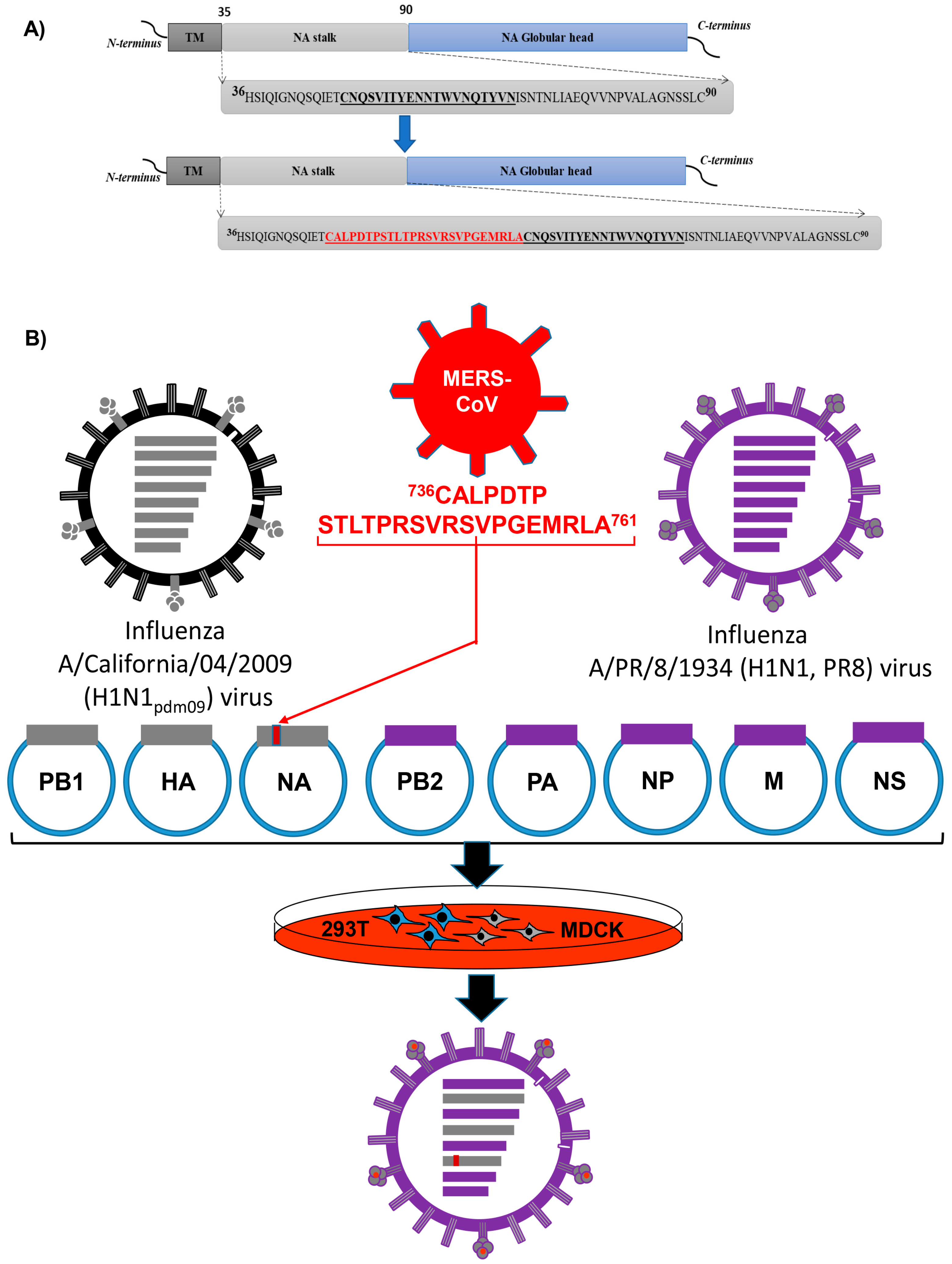 Pathogens 08 00281 g001