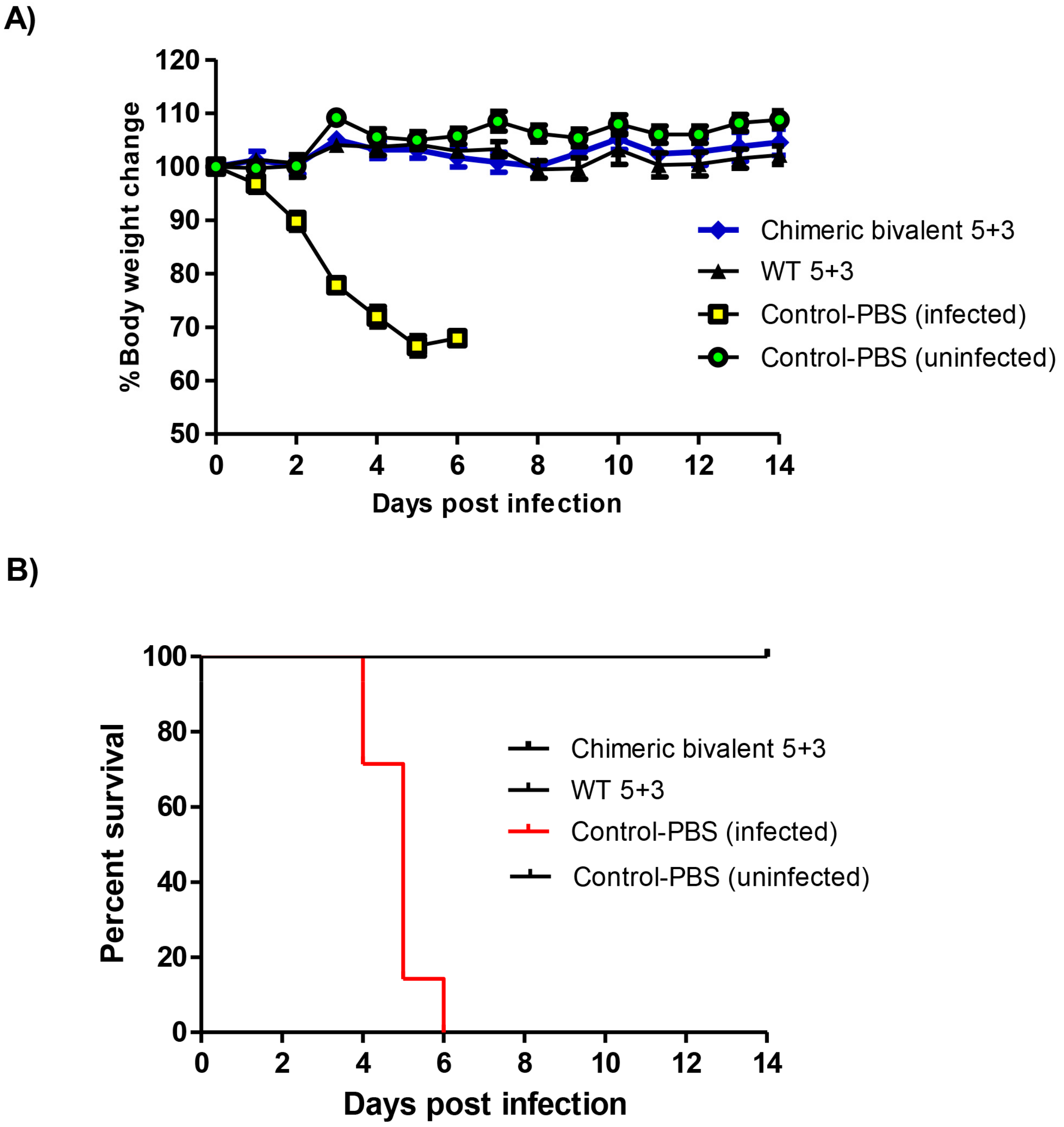 Pathogens 08 00281 g005