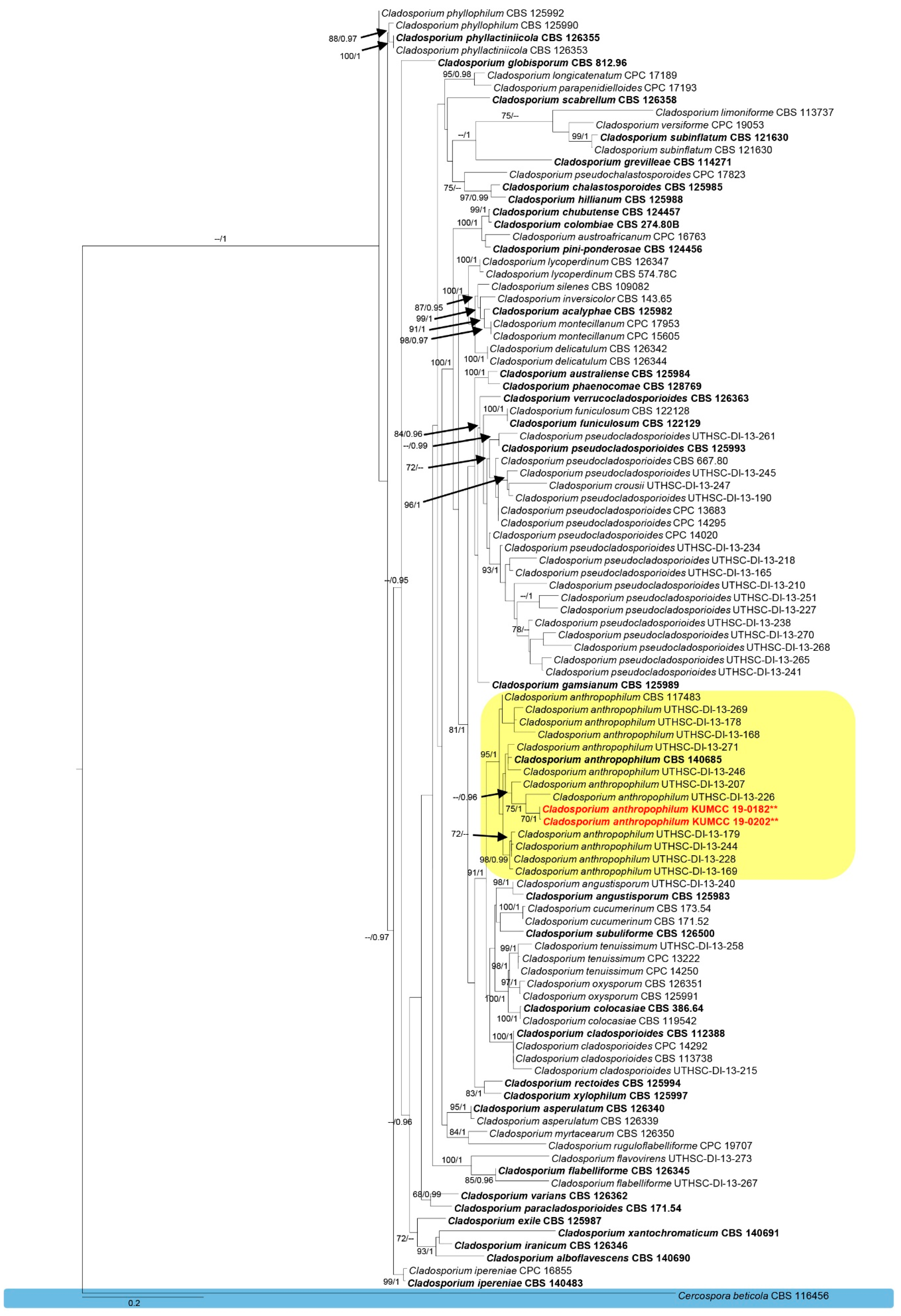 Pathogens 08 00285 g002