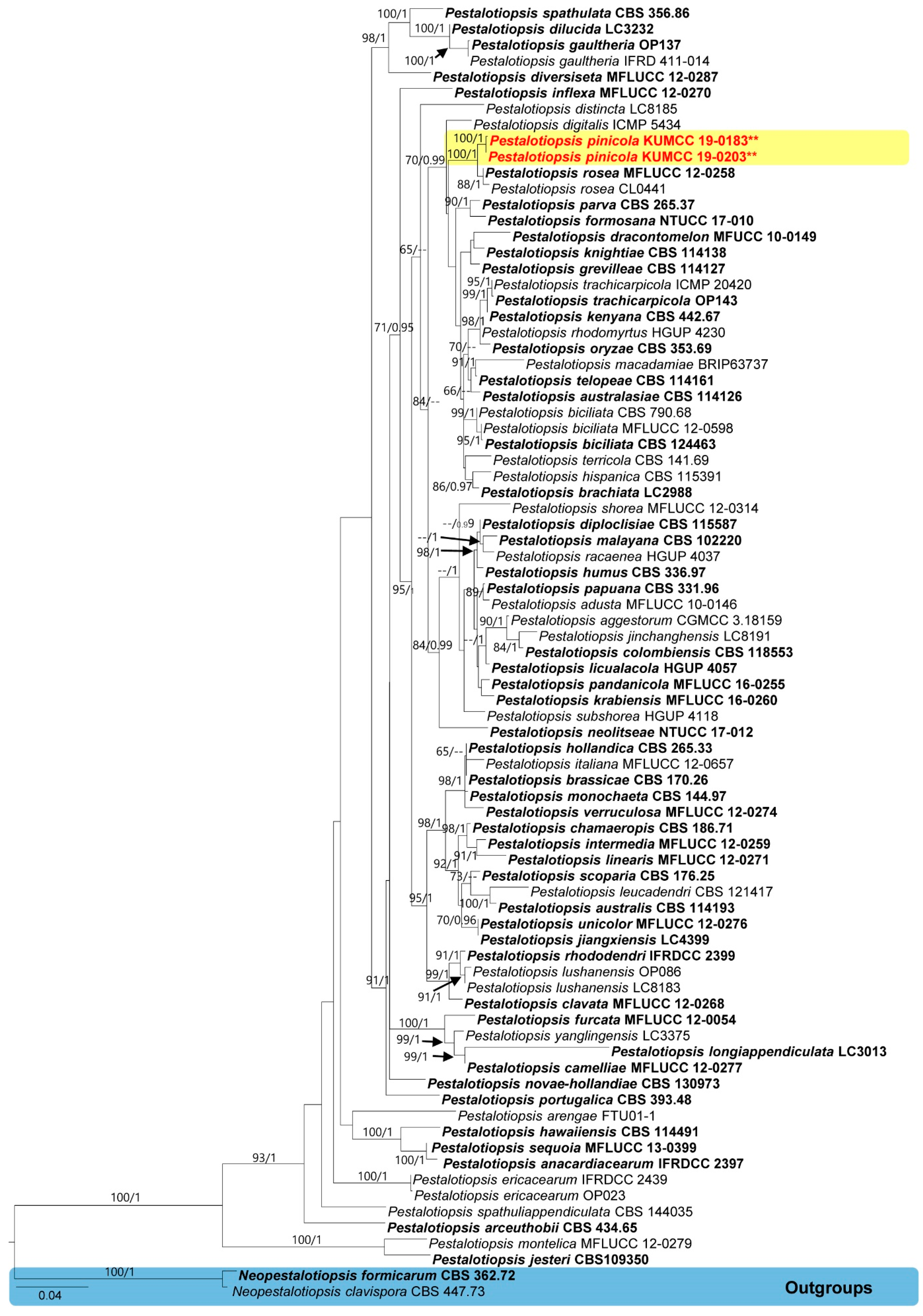 Pathogens 08 00285 g004