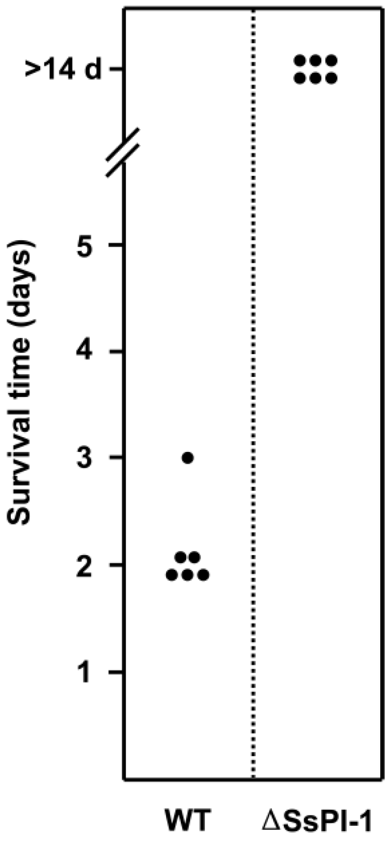 Pathogens 08 00287 g003