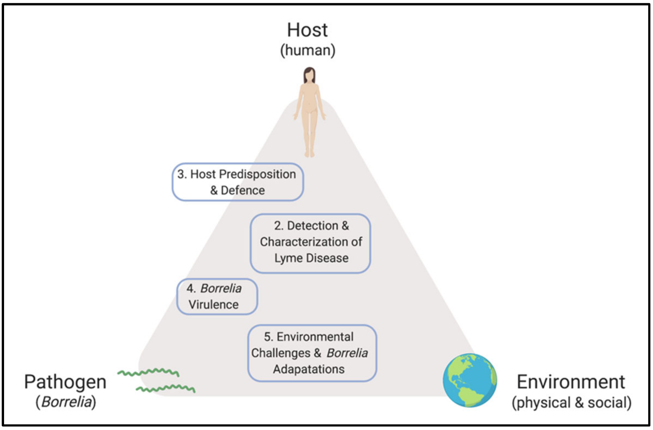 Pathogens 08 00299 g001