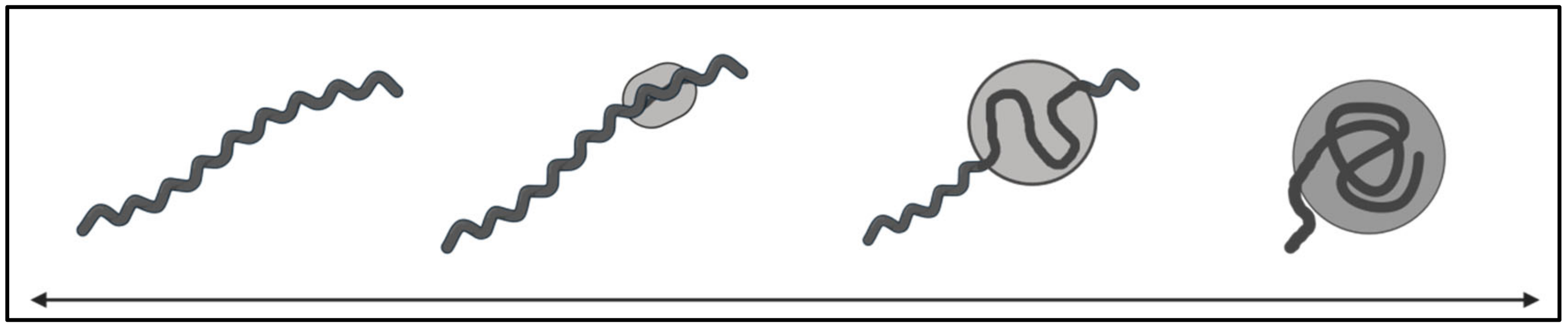 Pathogens 08 00299 g005