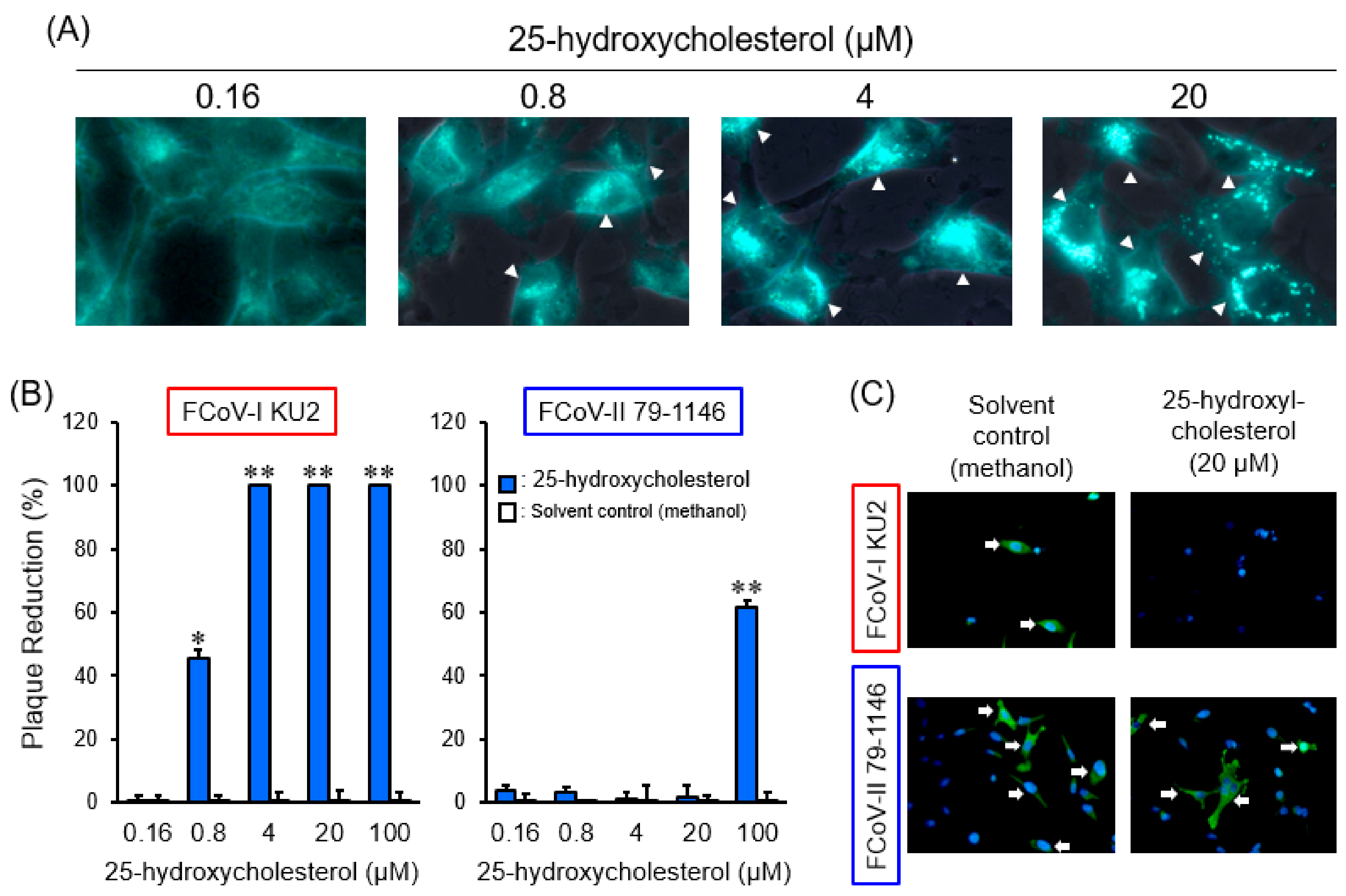 Pathogens 08 00300 g002