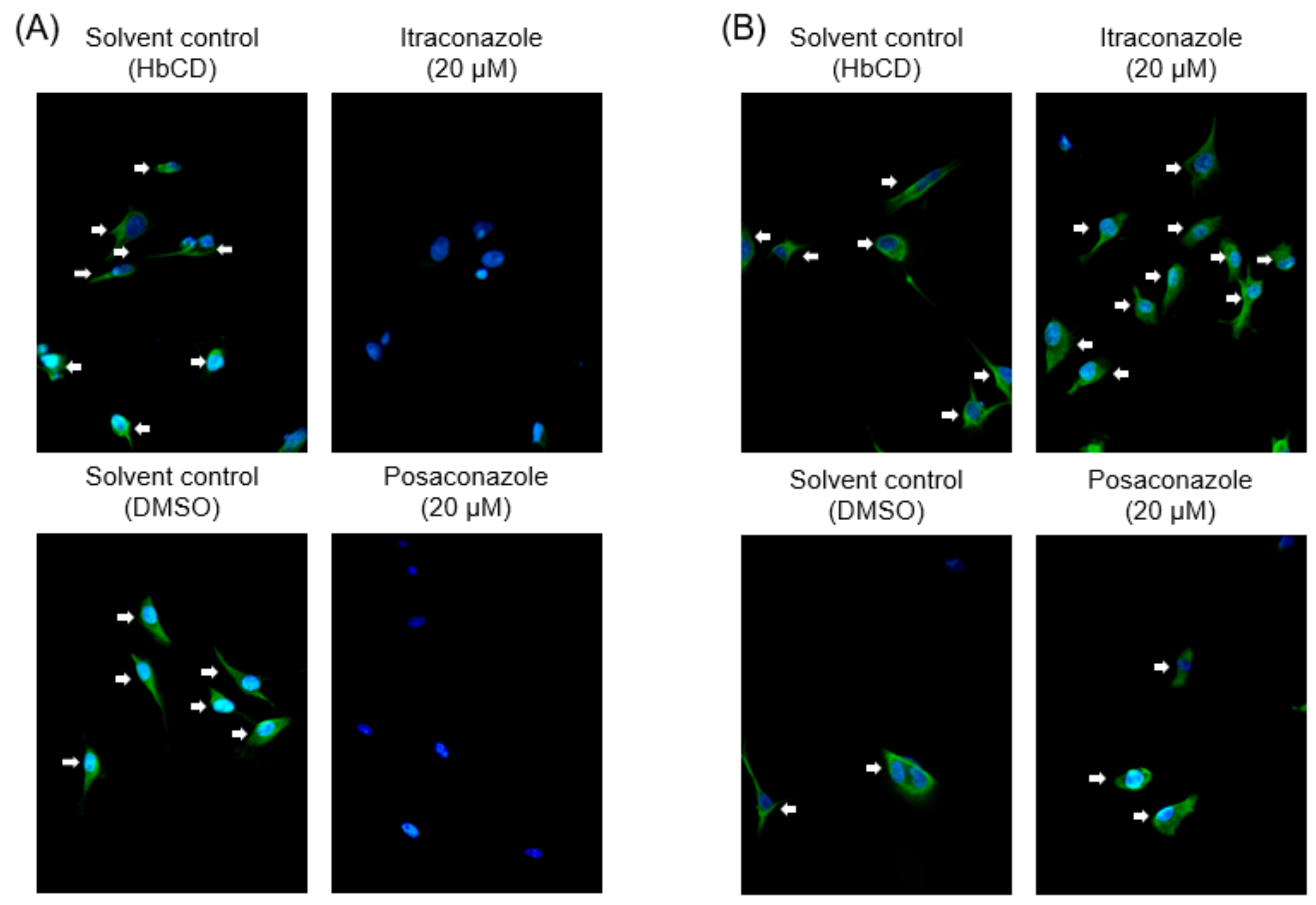 Pathogens 08 00300 g006