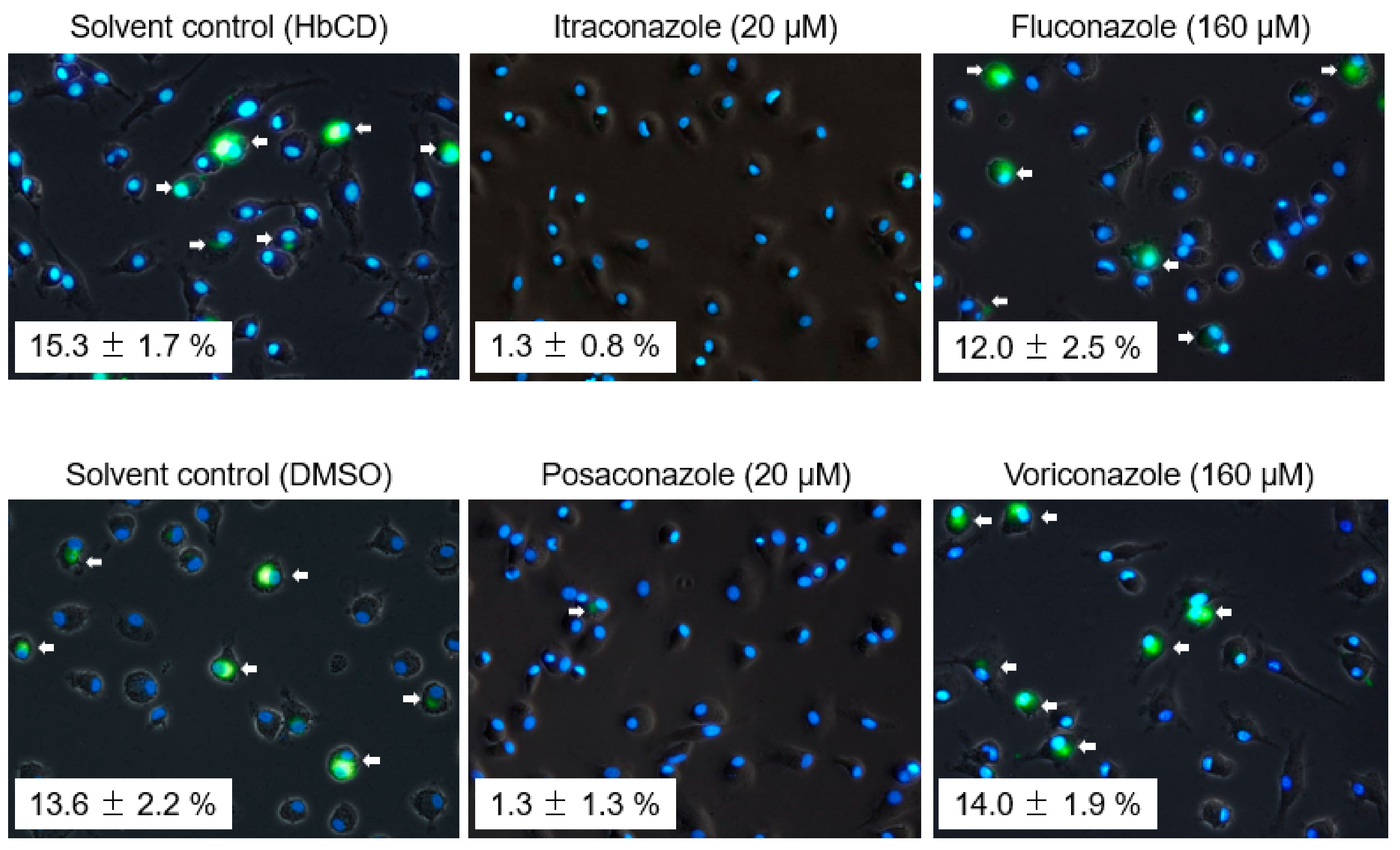 Pathogens 08 00300 g008