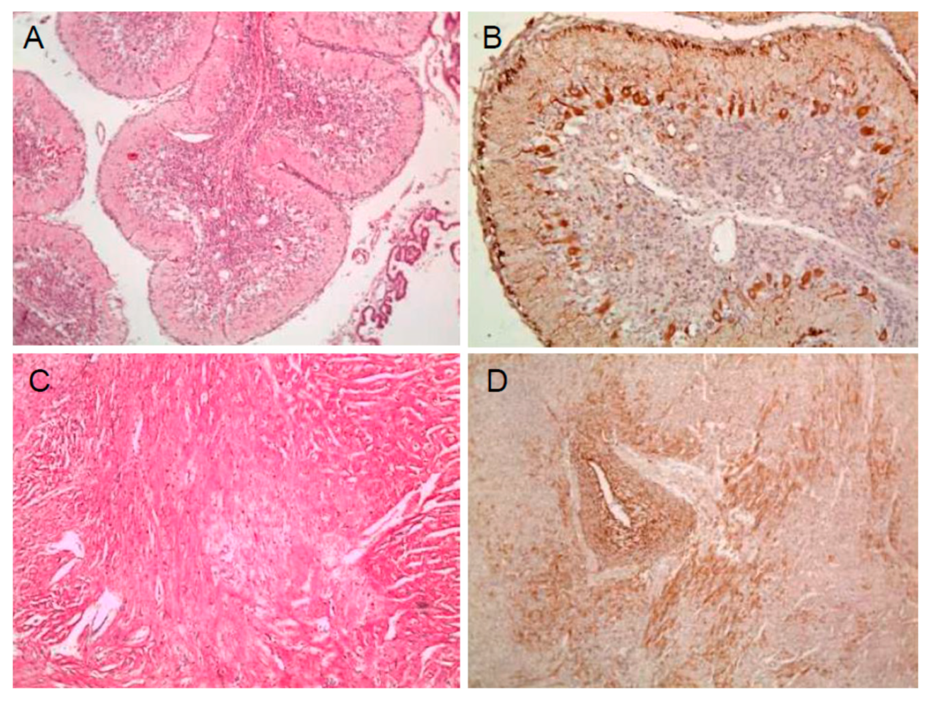 Pathogens 09 00018 g001