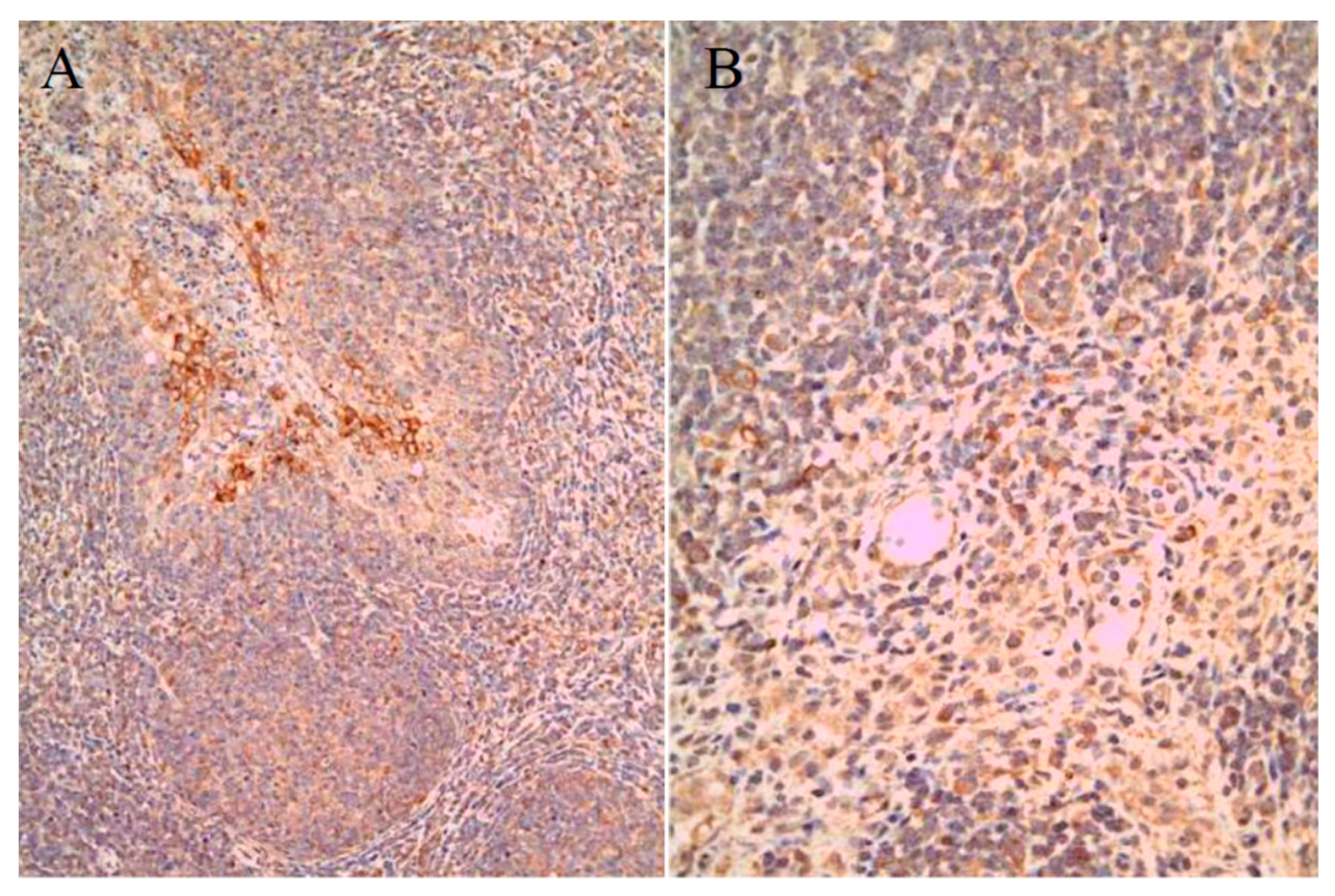 Pathogens 09 00018 g003