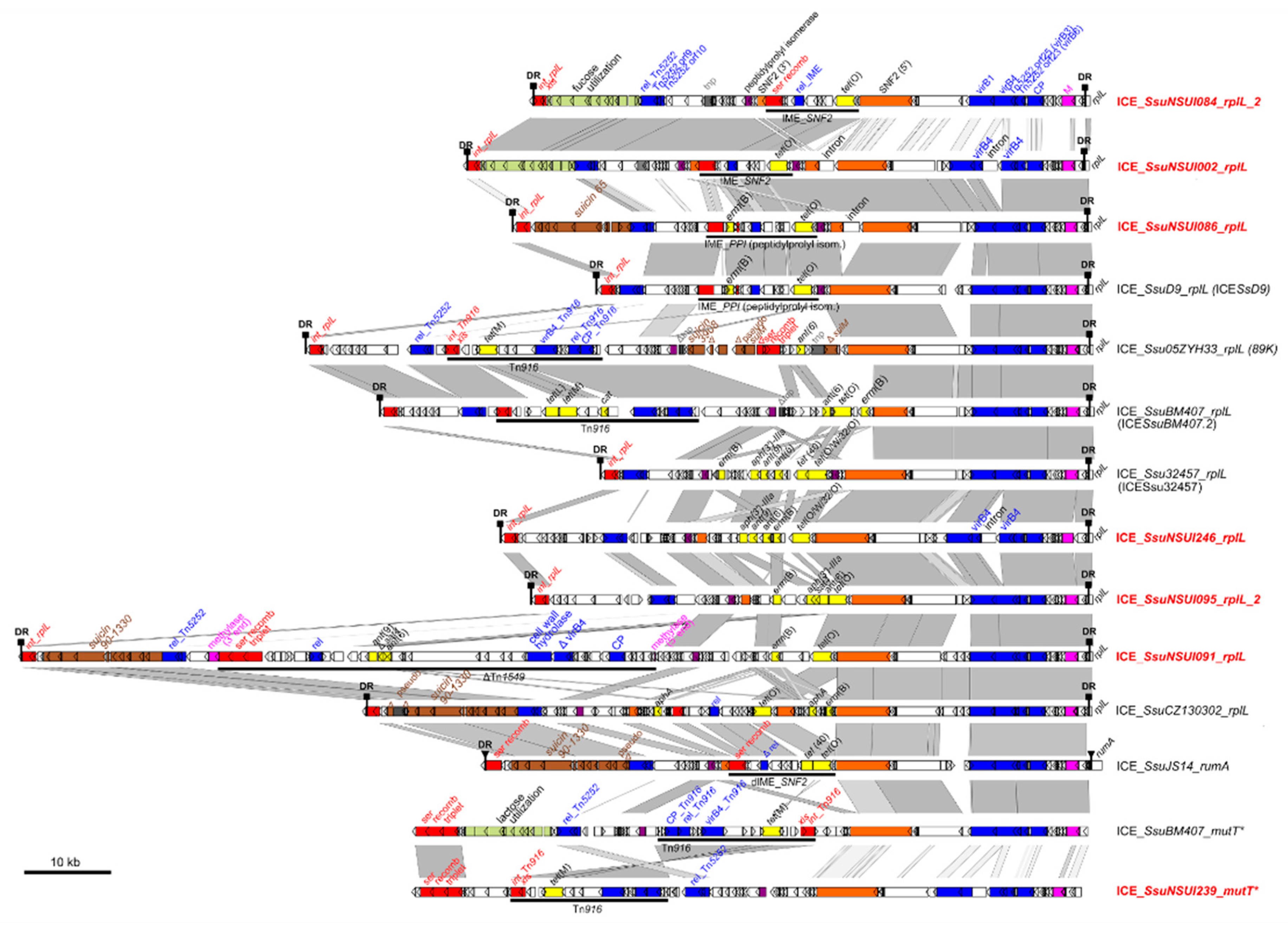 Pathogens 09 00022 g007