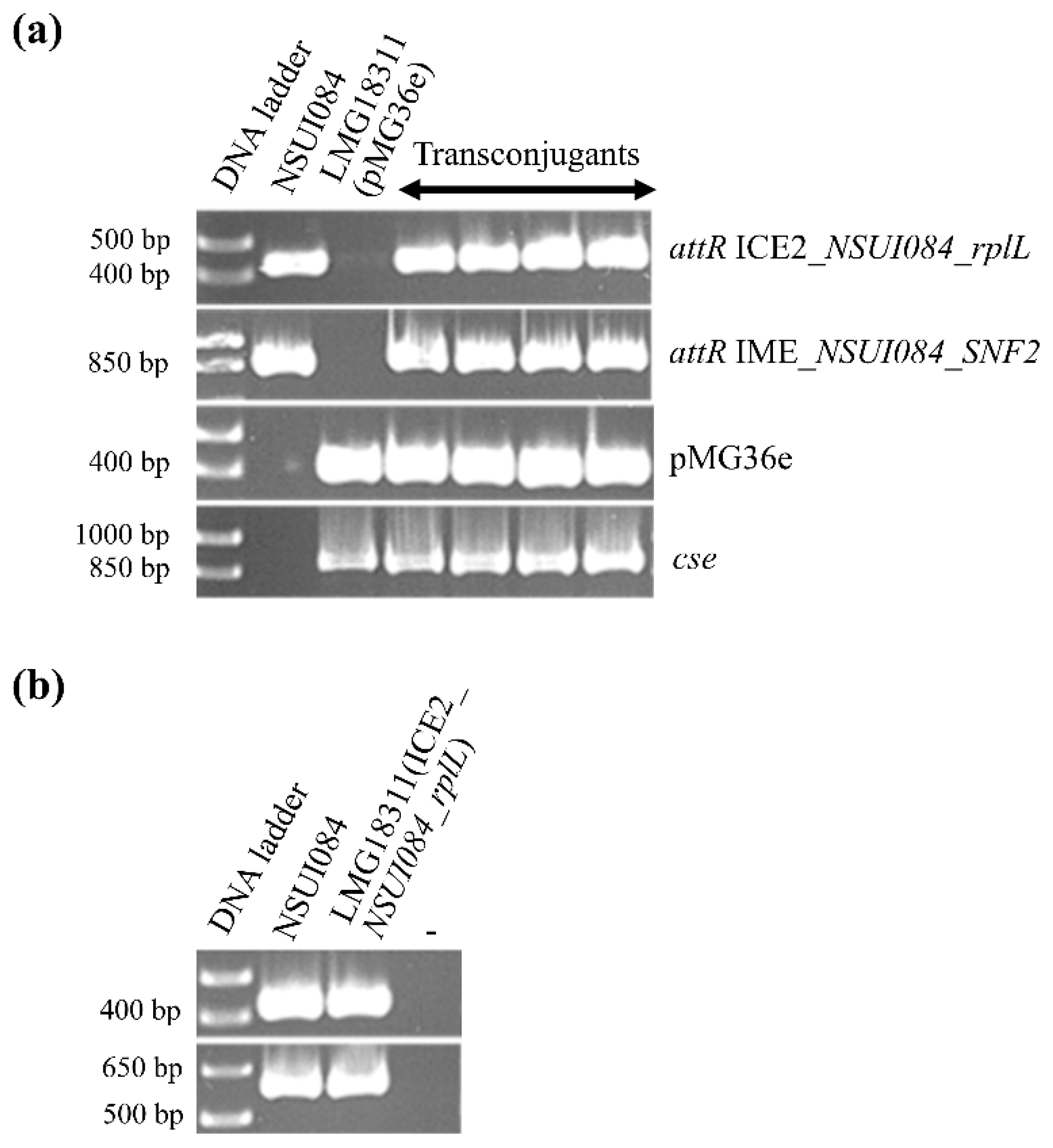 Pathogens 09 00022 g010