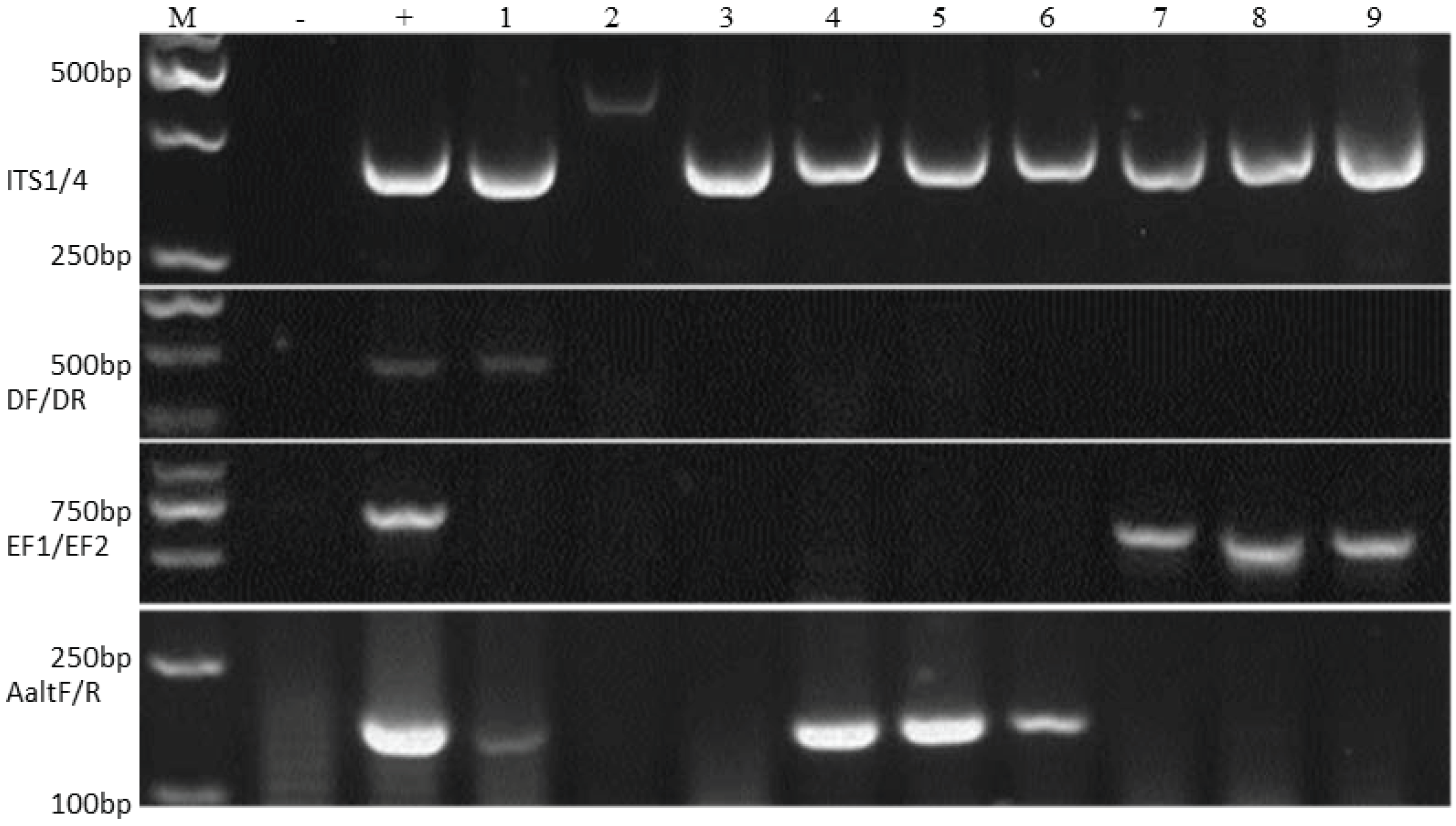 Pathogens 09 00029 g002 Pathogens 09 00029 g002
