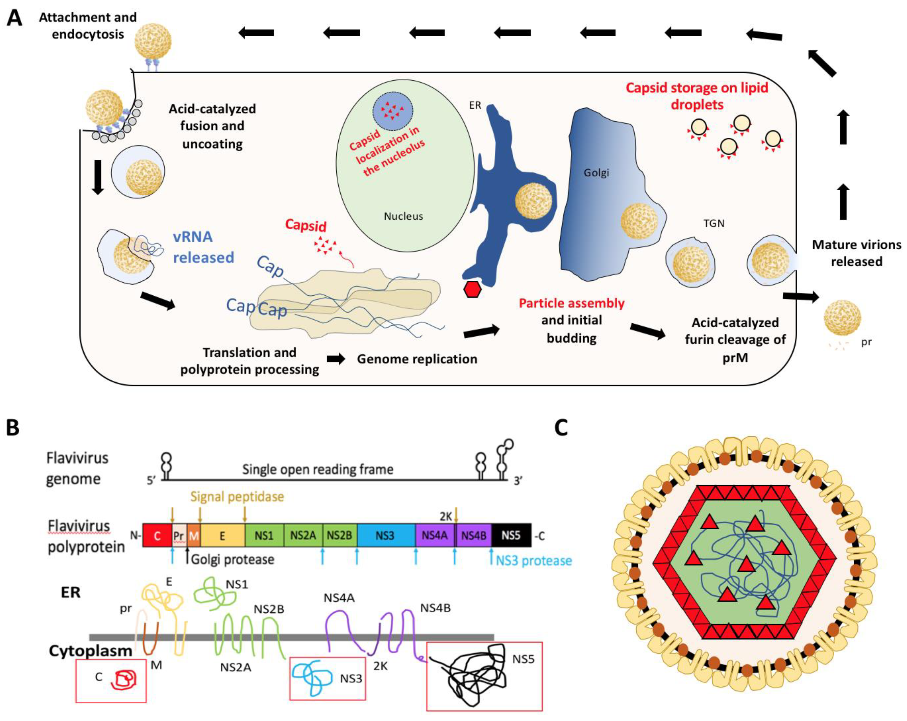 Pathogens 09 00042 g001 Pathogens 09 00042 g001