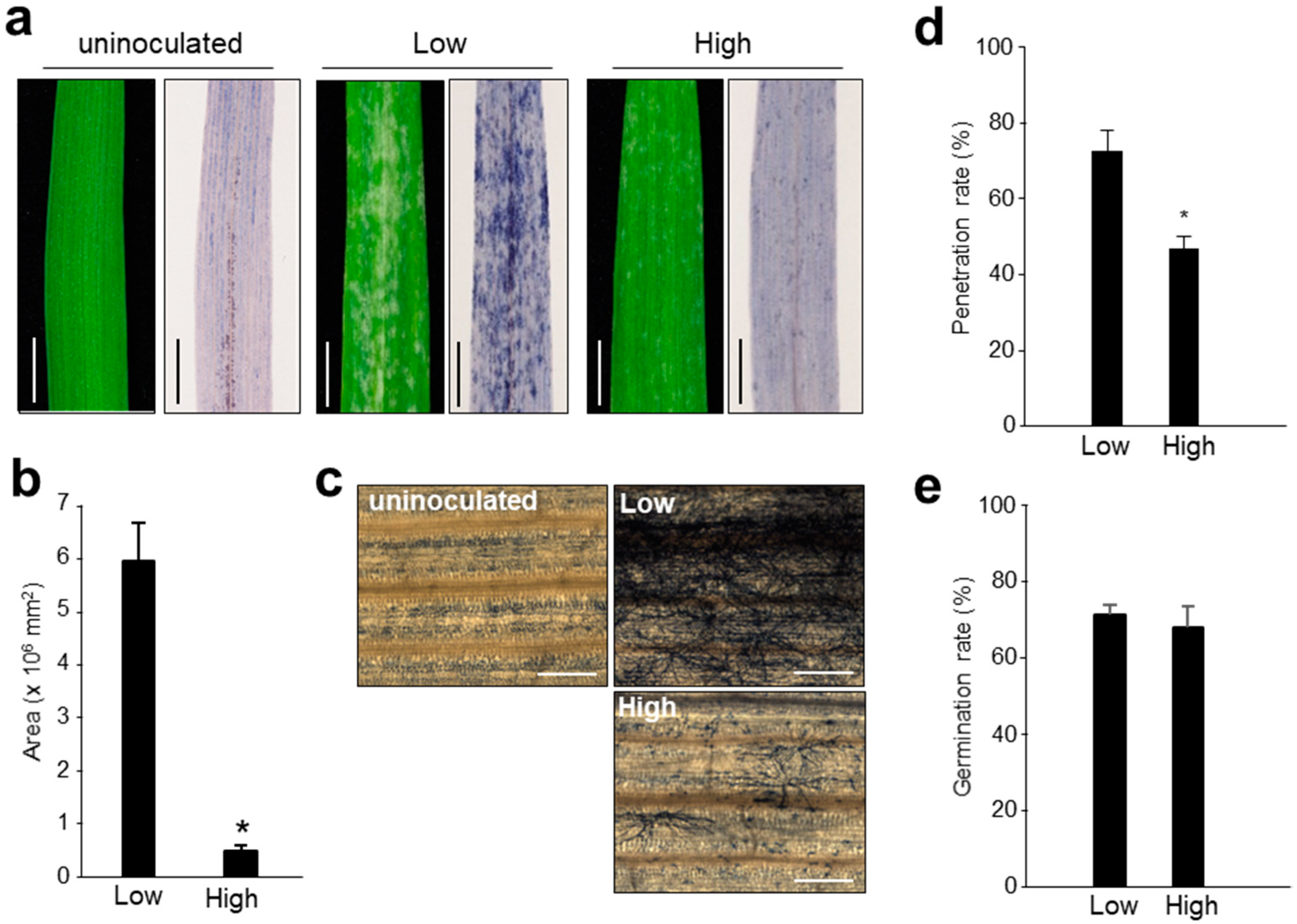 Pathogens 09 00045 g001