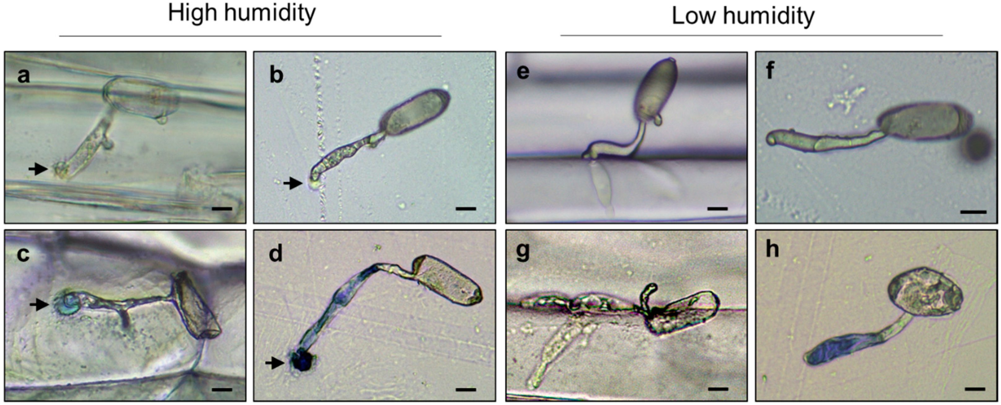 Pathogens 09 00045 g003