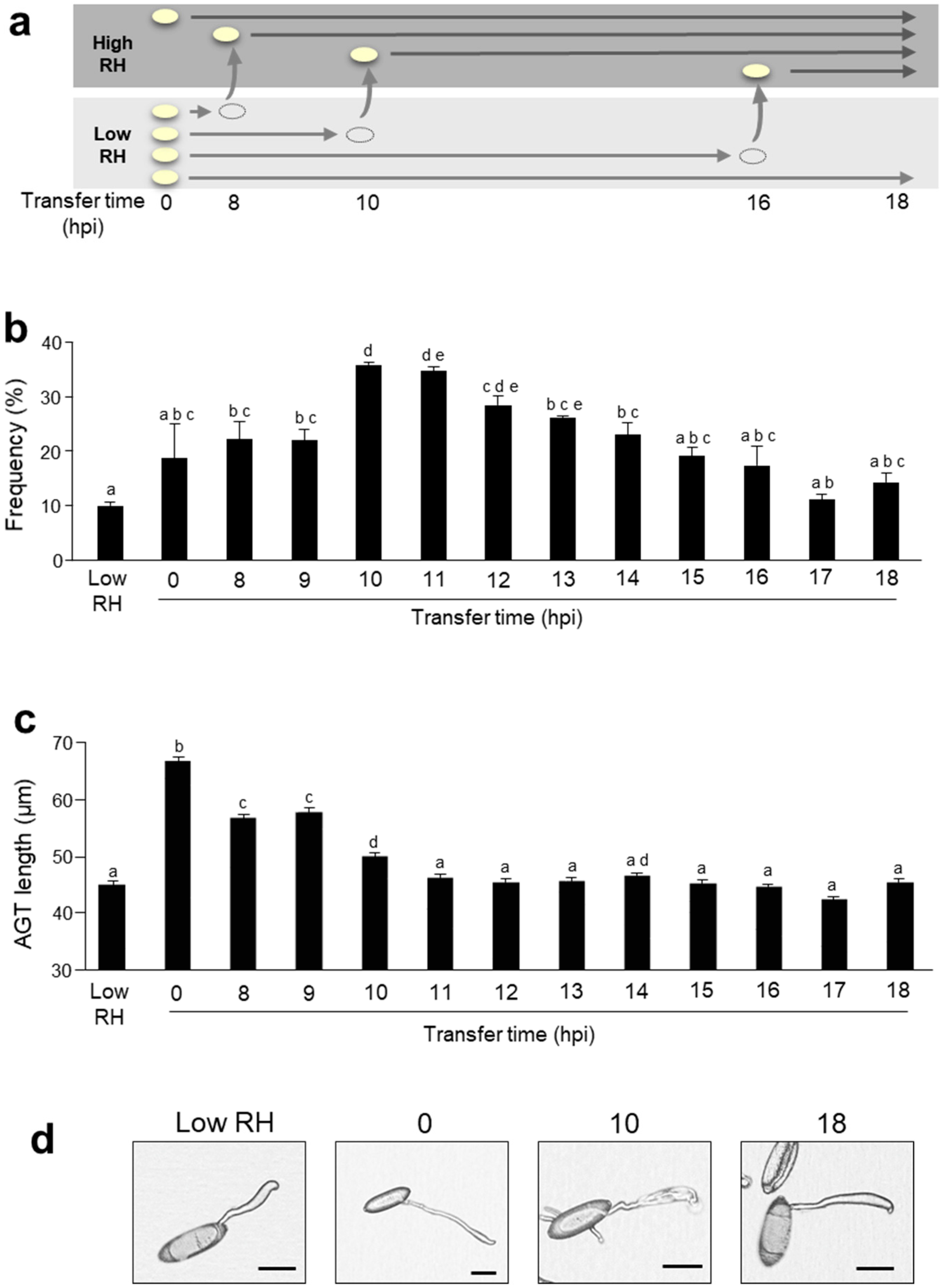 Pathogens 09 00045 g004