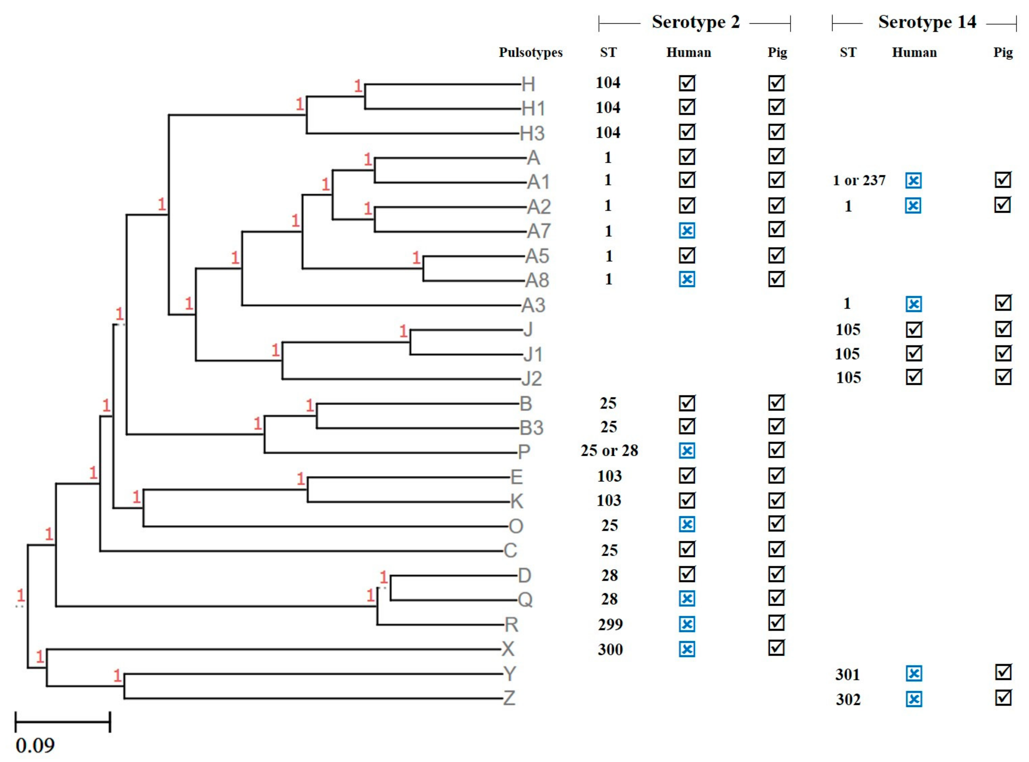 Pathogens 09 00050 g001
