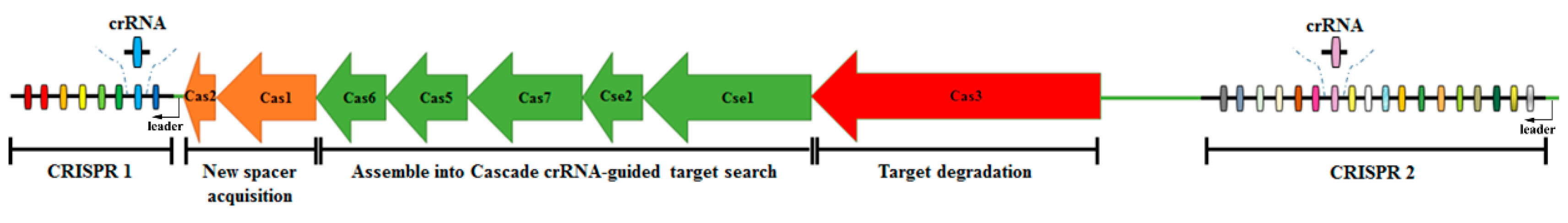Pathogens 09 00053 g001 Pathogens 09 00053 g001