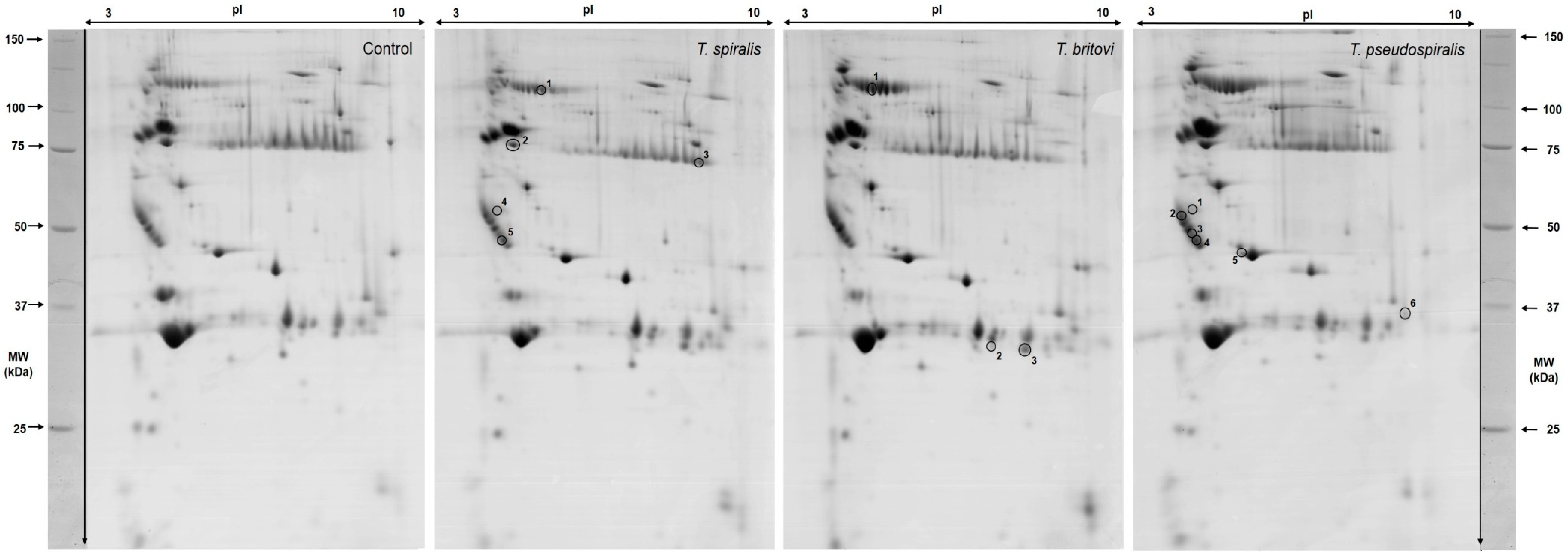 Pathogens 09 00055 g001 Pathogens 09 00055 g001