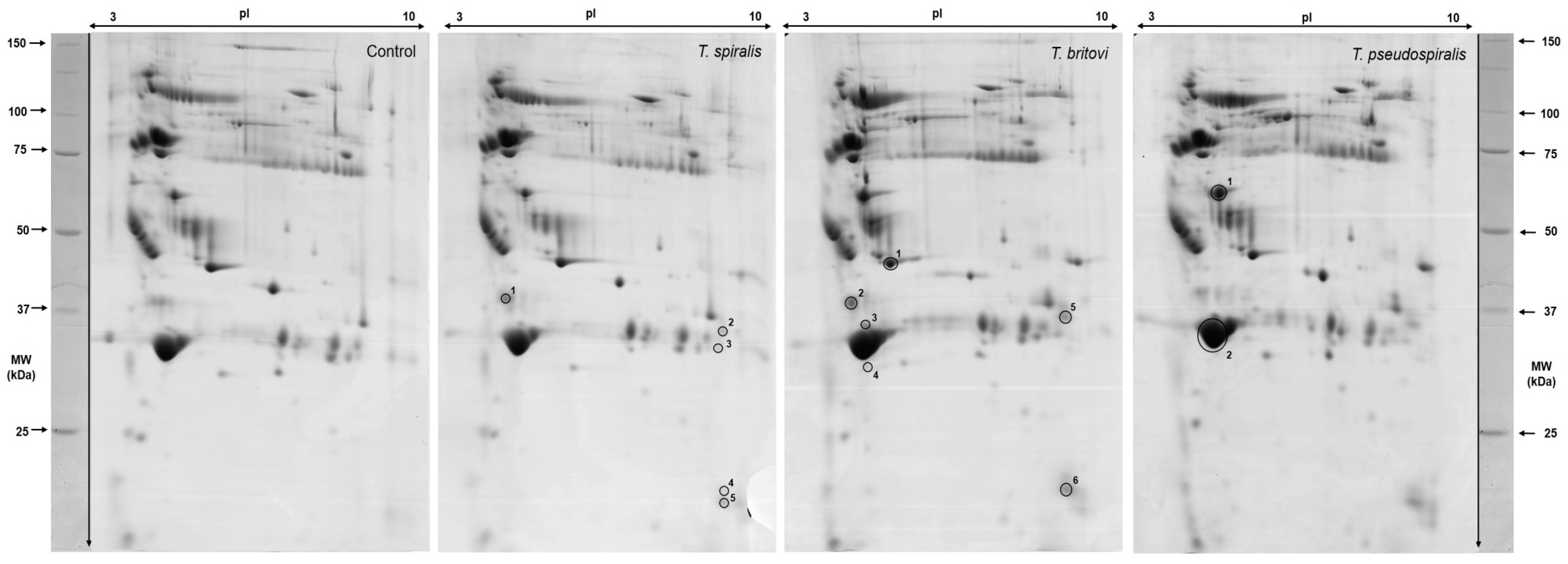 Pathogens 09 00055 g003 Pathogens 09 00055 g003