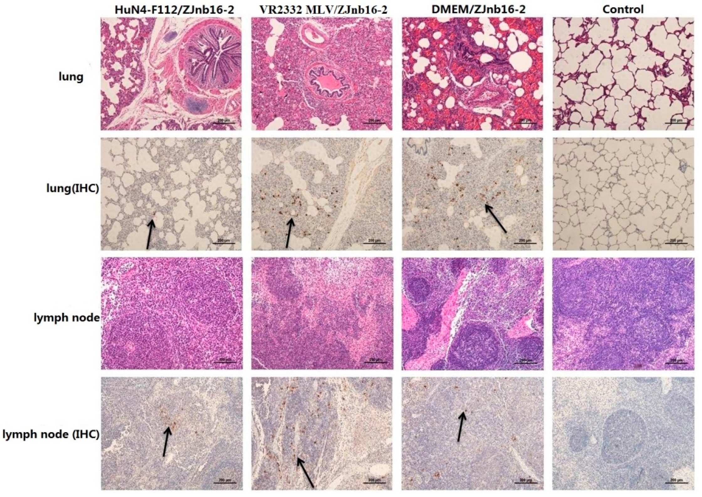 Pathogens 09 00059 g006