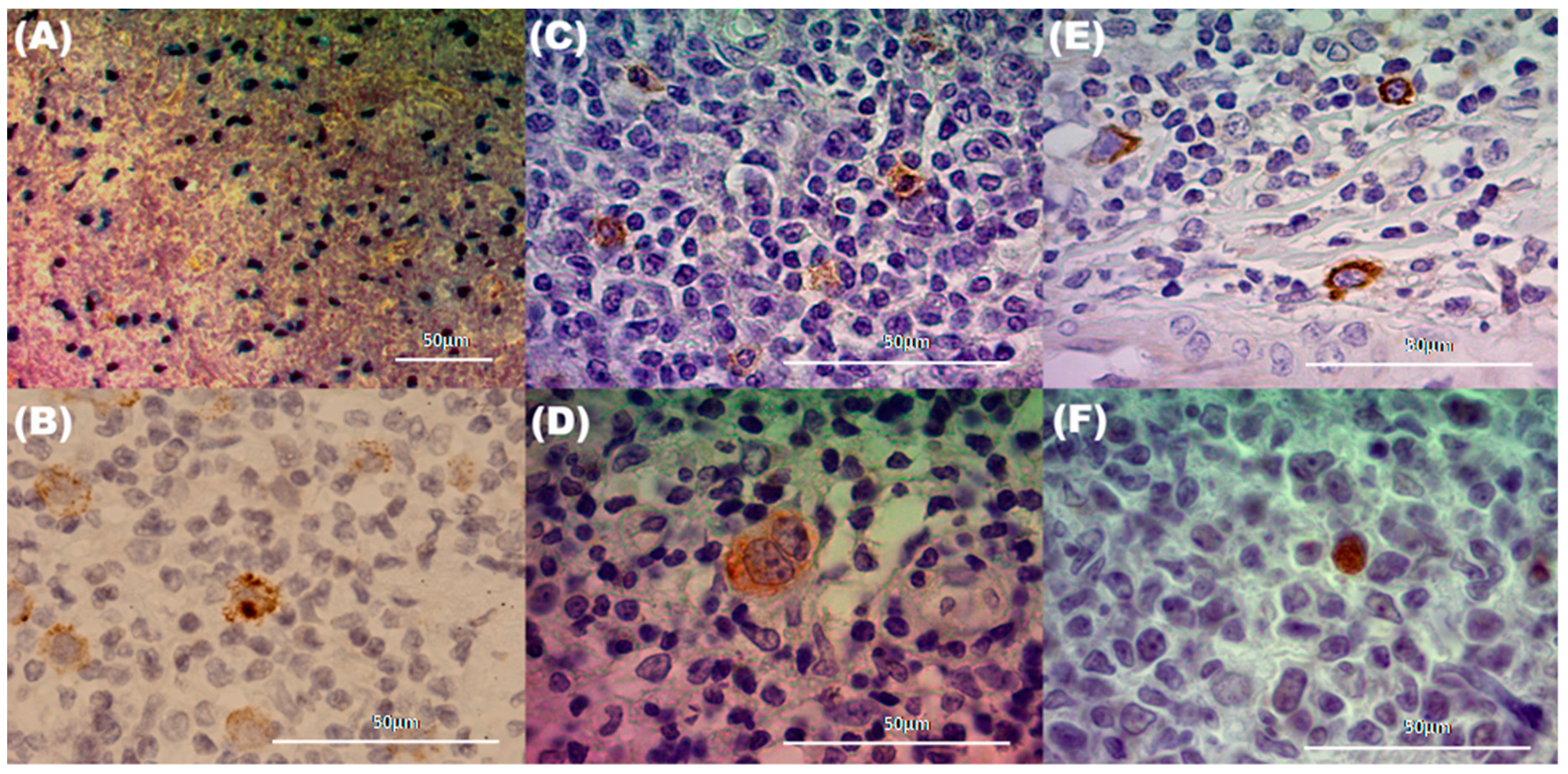 Pathogens 09 00068 g001 Pathogens 09 00068 g001