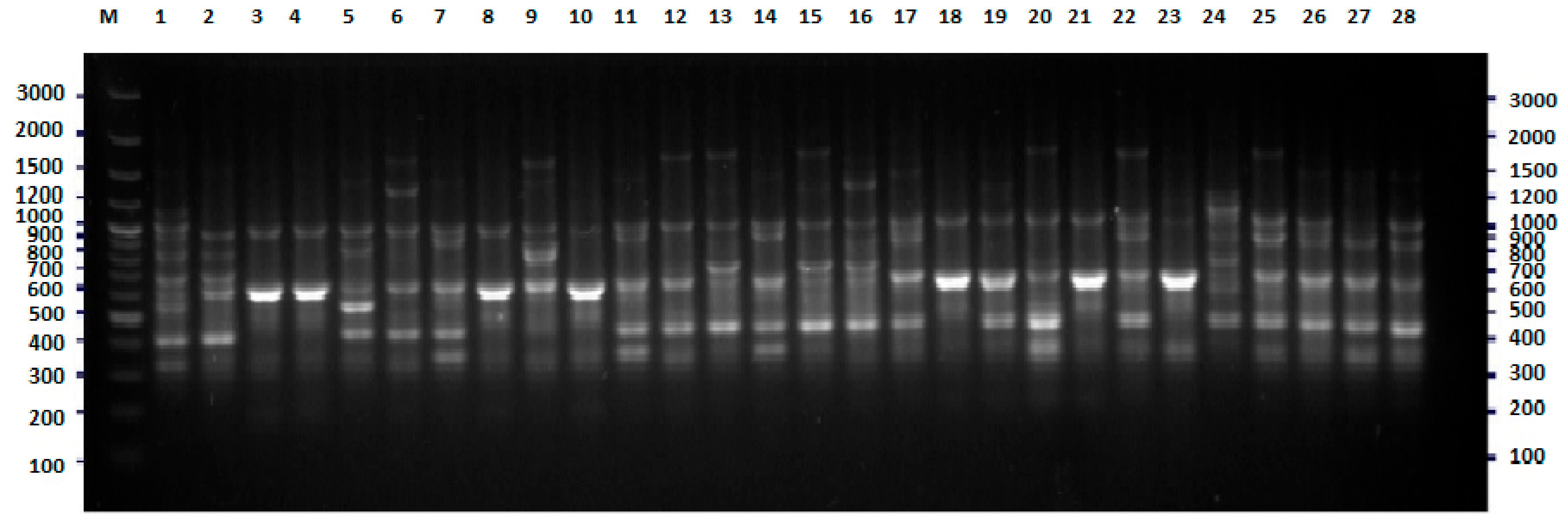 Pathogens 09 00073 g001