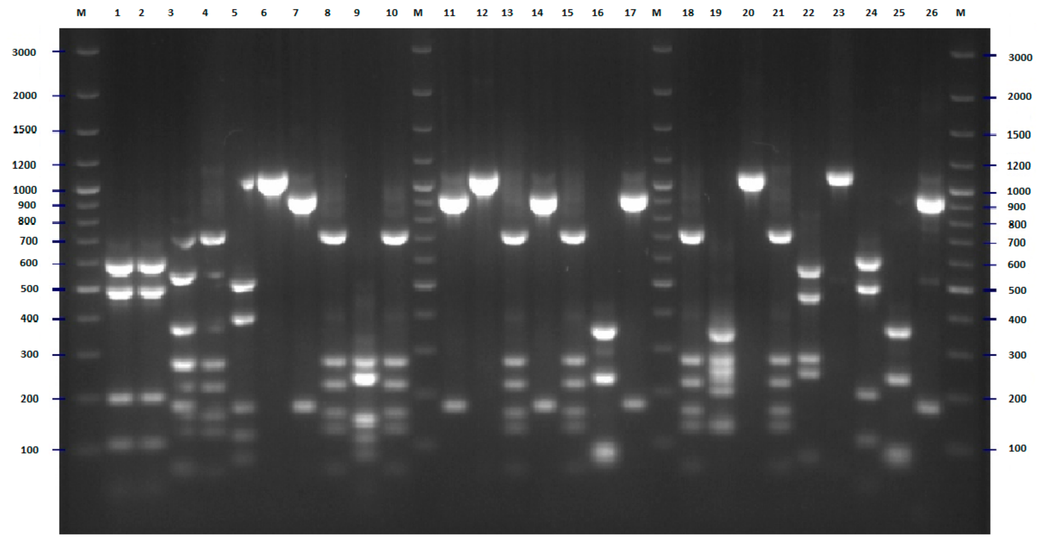 Pathogens 09 00073 g003