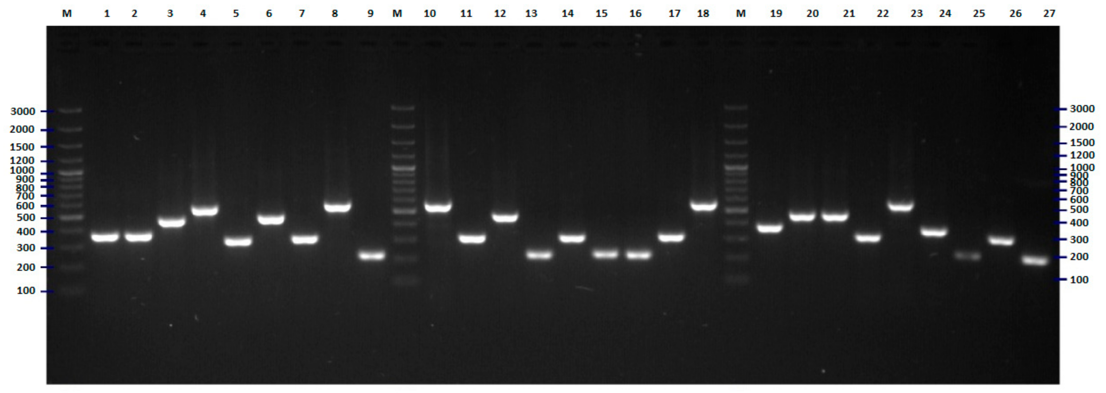 Pathogens 09 00073 g005